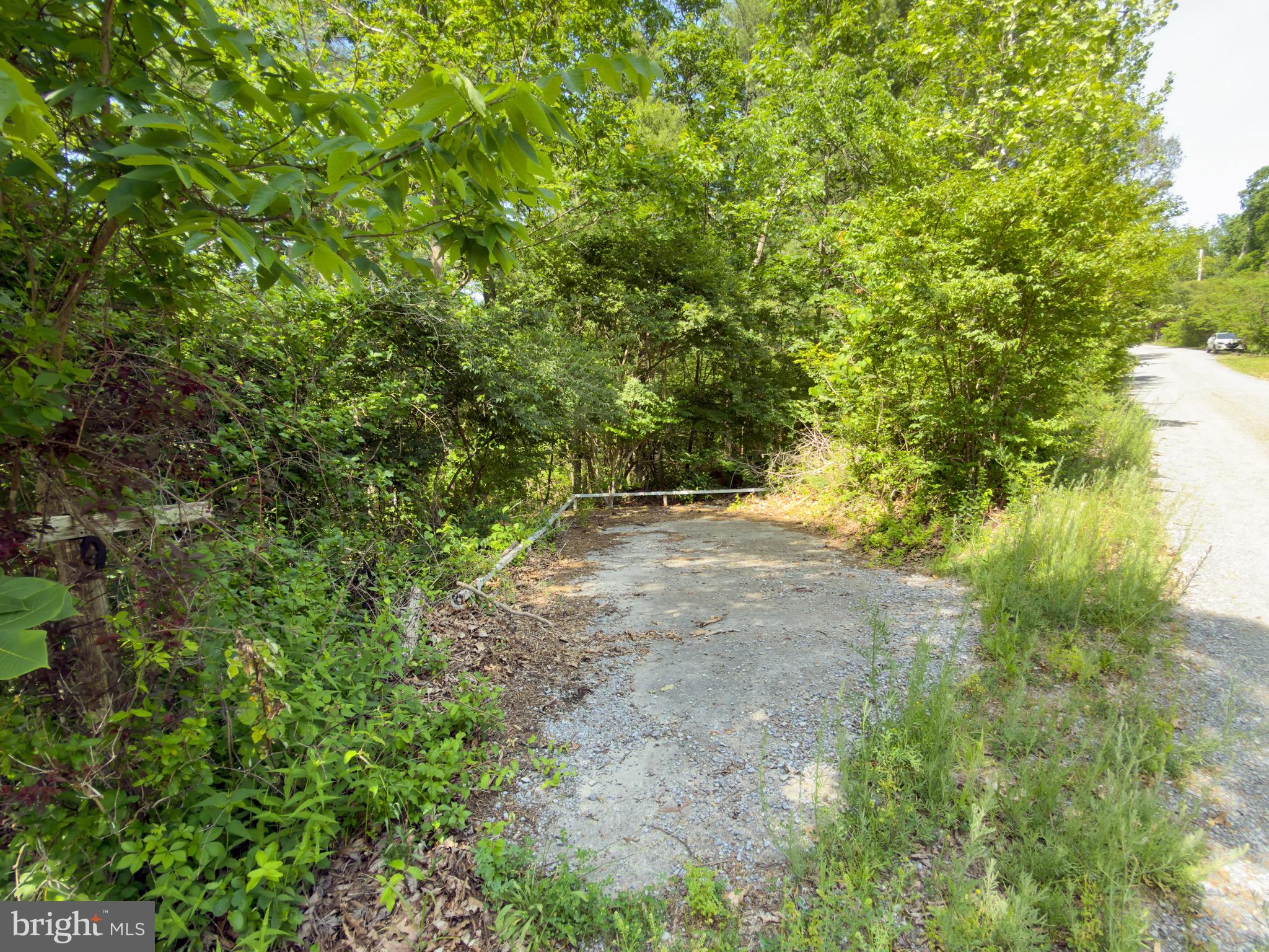 GLENWOOD FOREST - Land