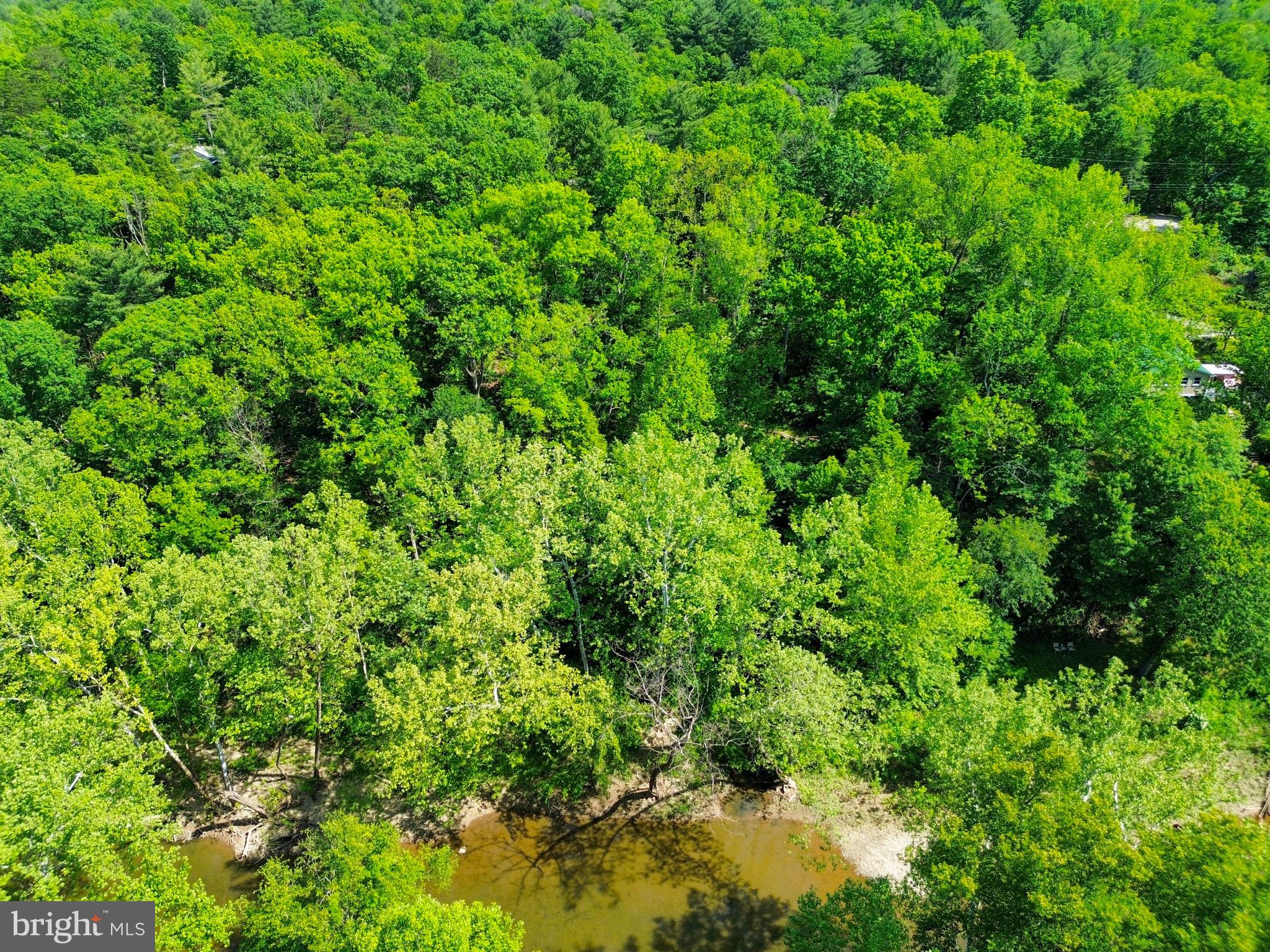 GLENWOOD FOREST - Land