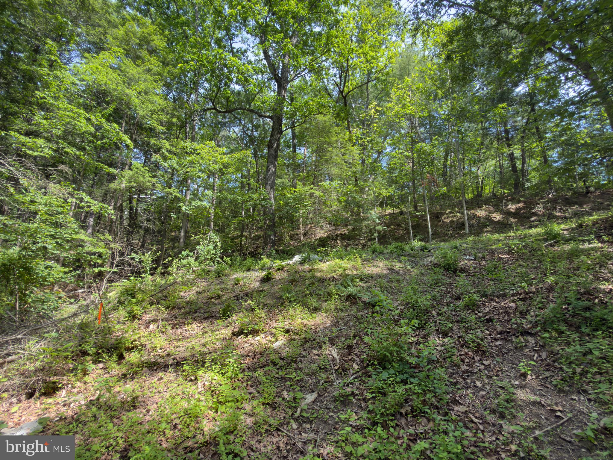 GLENWOOD FOREST - Land