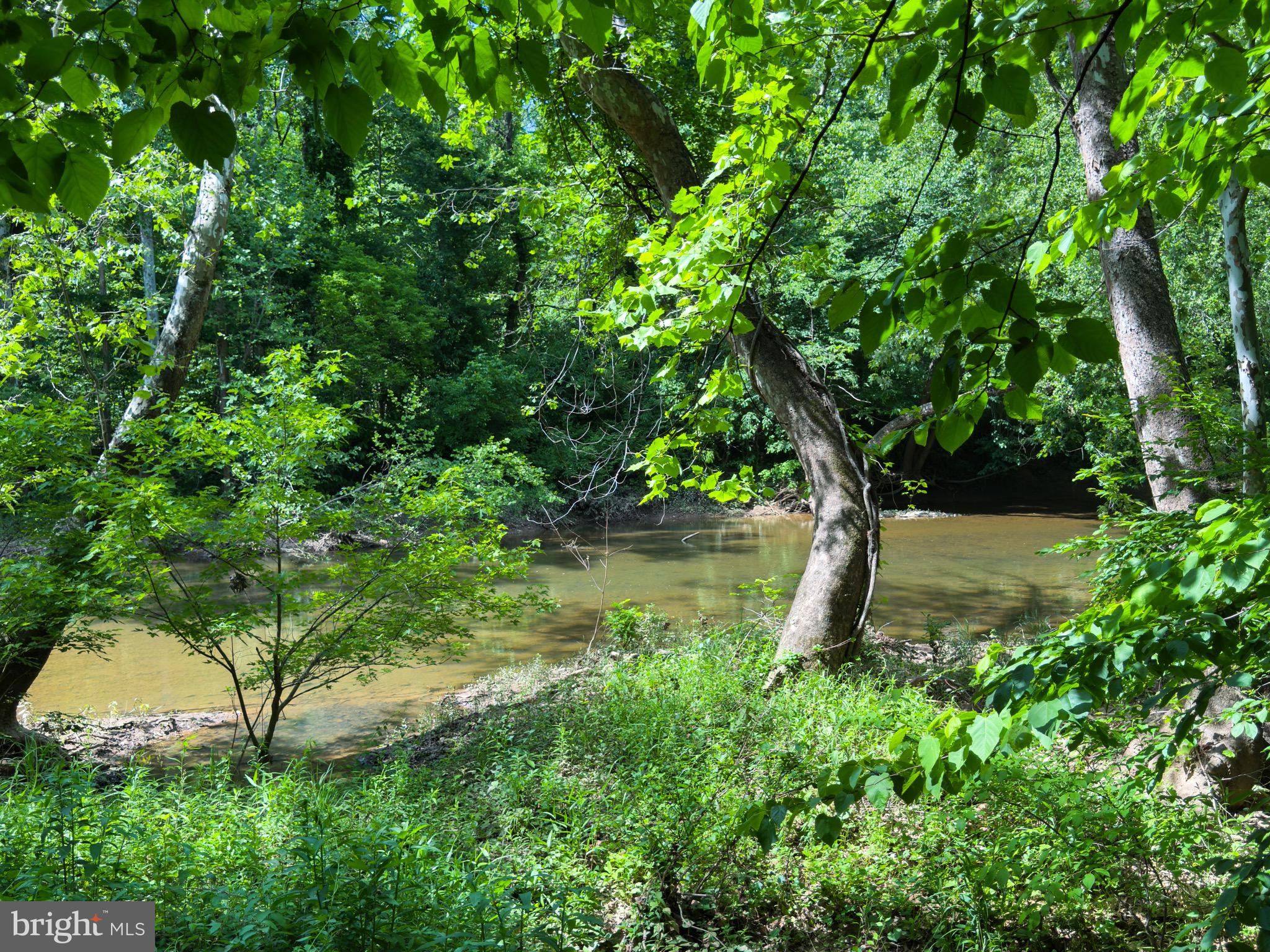 GLENWOOD FOREST - Land