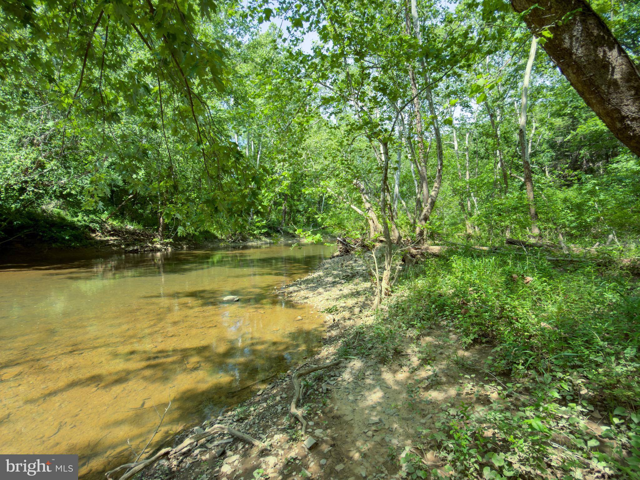 Creek-front opportunity in Glenwood Forest! This 1-acre lot on Back Creek offers a peaceful setting with natural surroundings and creek frontage, making it a great spot for those looking to enjoy the outdoors or weekend getaways.
A previous structure once existed on the property. There is an on-site septic system- sellers are unaware of the condition and  make no representations or warranties regarding its condition. Health department records are available in the listing documents for buyer review. Pink ribbons have been placed to help identify the approximate property boundaries.
Buyers should verify all information and perform their own due diligence regarding intended use, septic, boundaries, utilities, access, and any county or community requirements.