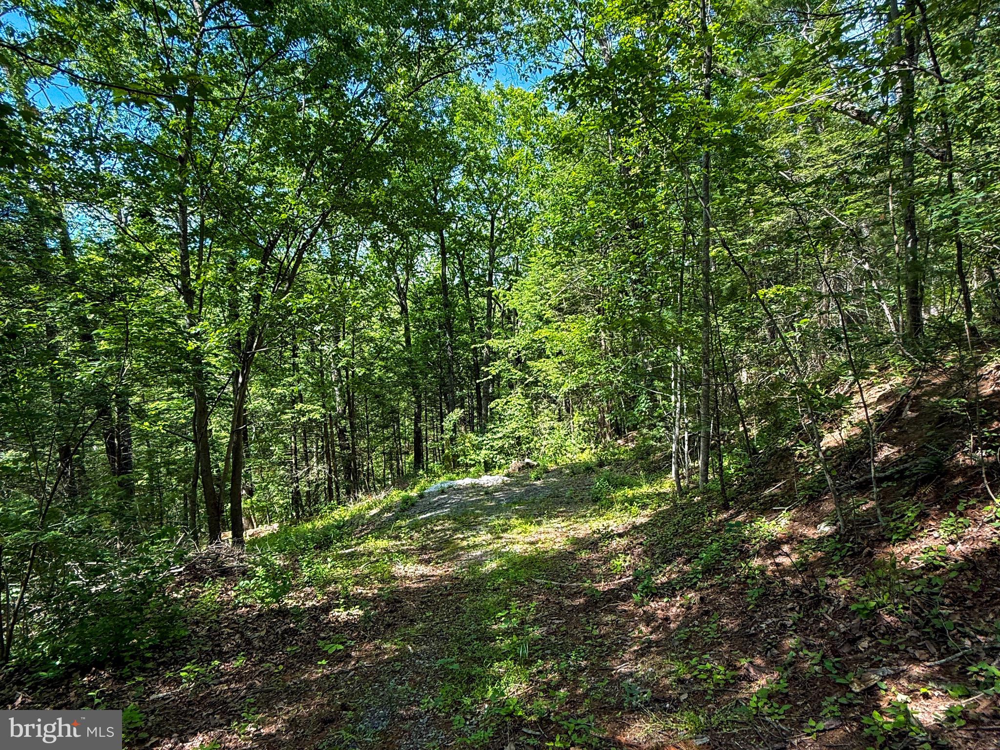 GLENWOOD FOREST - Land