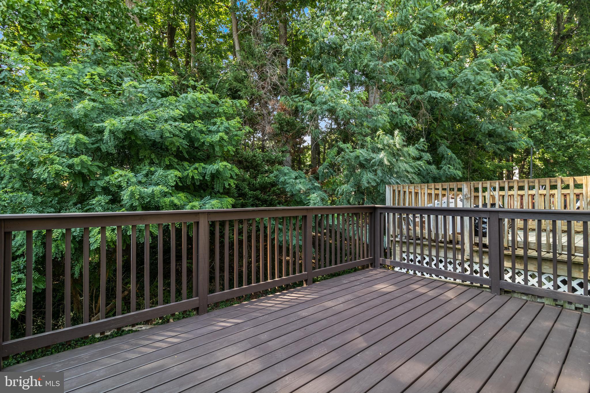 CHESAPEAKE LIGHTHOUSE - Residential