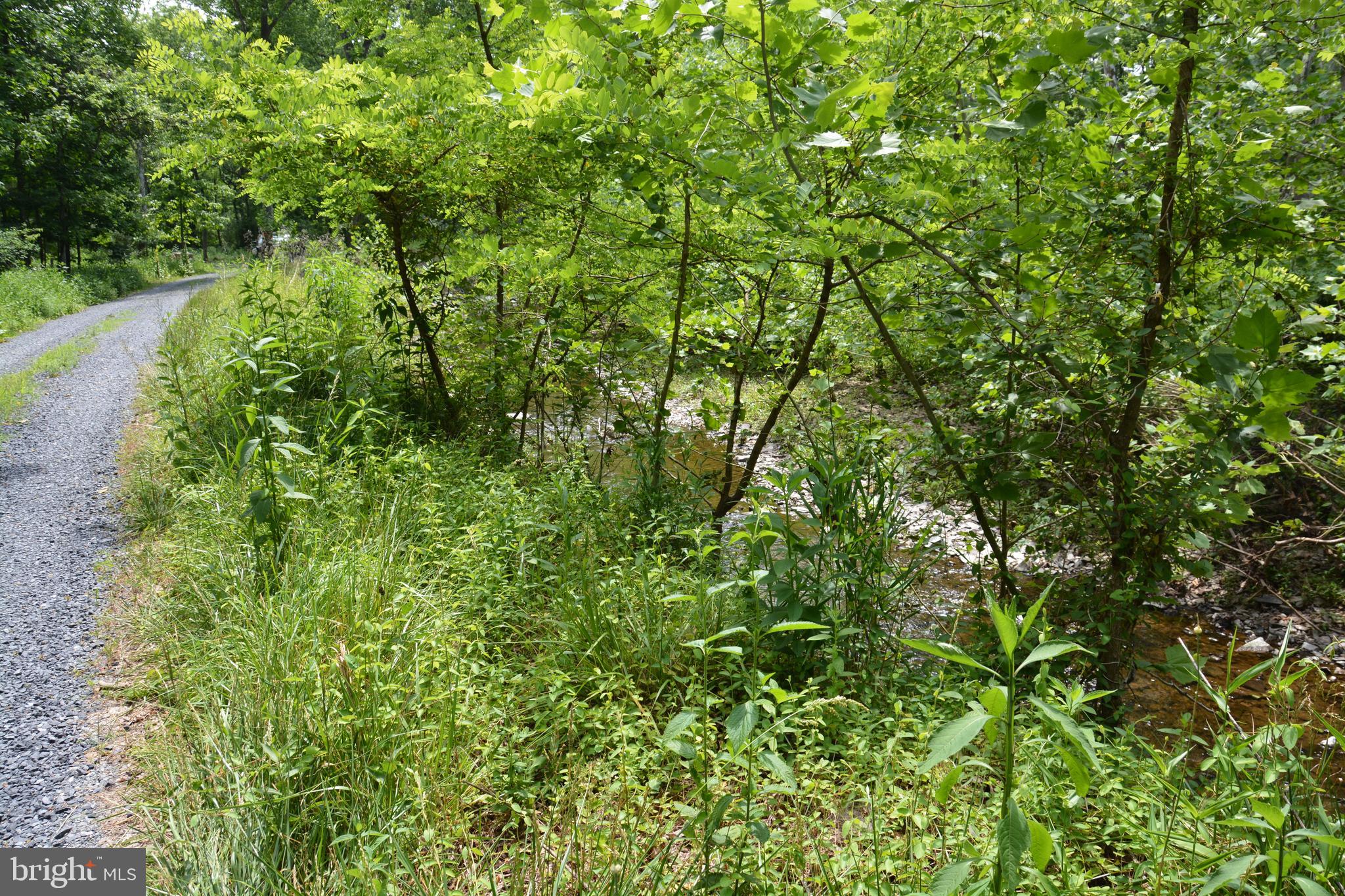 RHINE FOREST ESTATES - Land