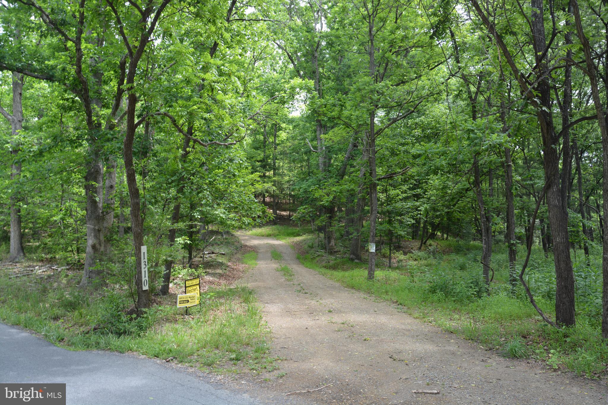 RHINE FOREST ESTATES - Land