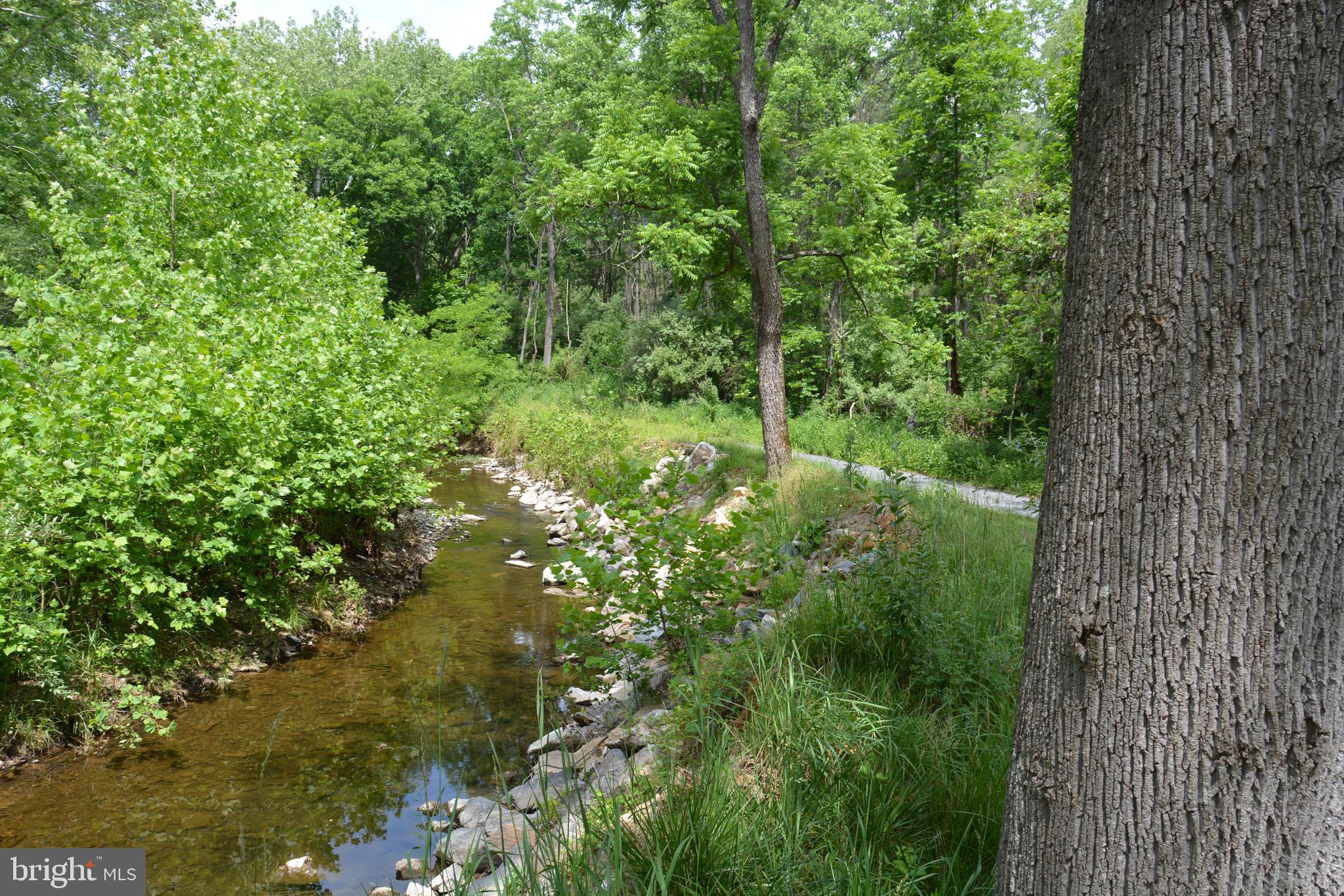 RHINE FOREST ESTATES - Land
