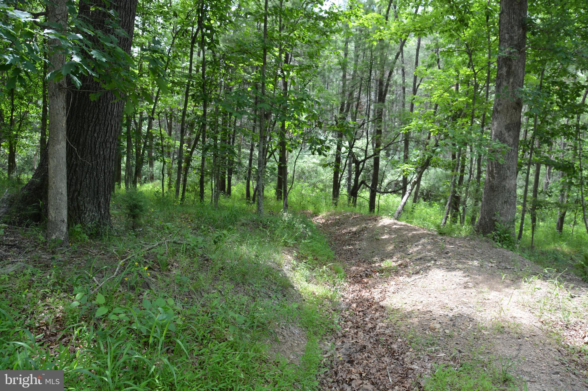 RHINE FOREST ESTATES - Land
