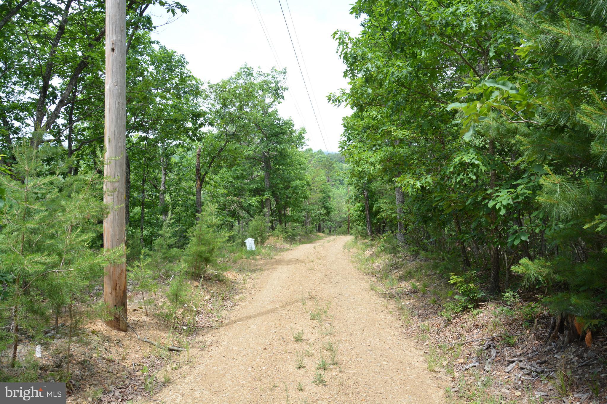 RHINE FOREST ESTATES - Land