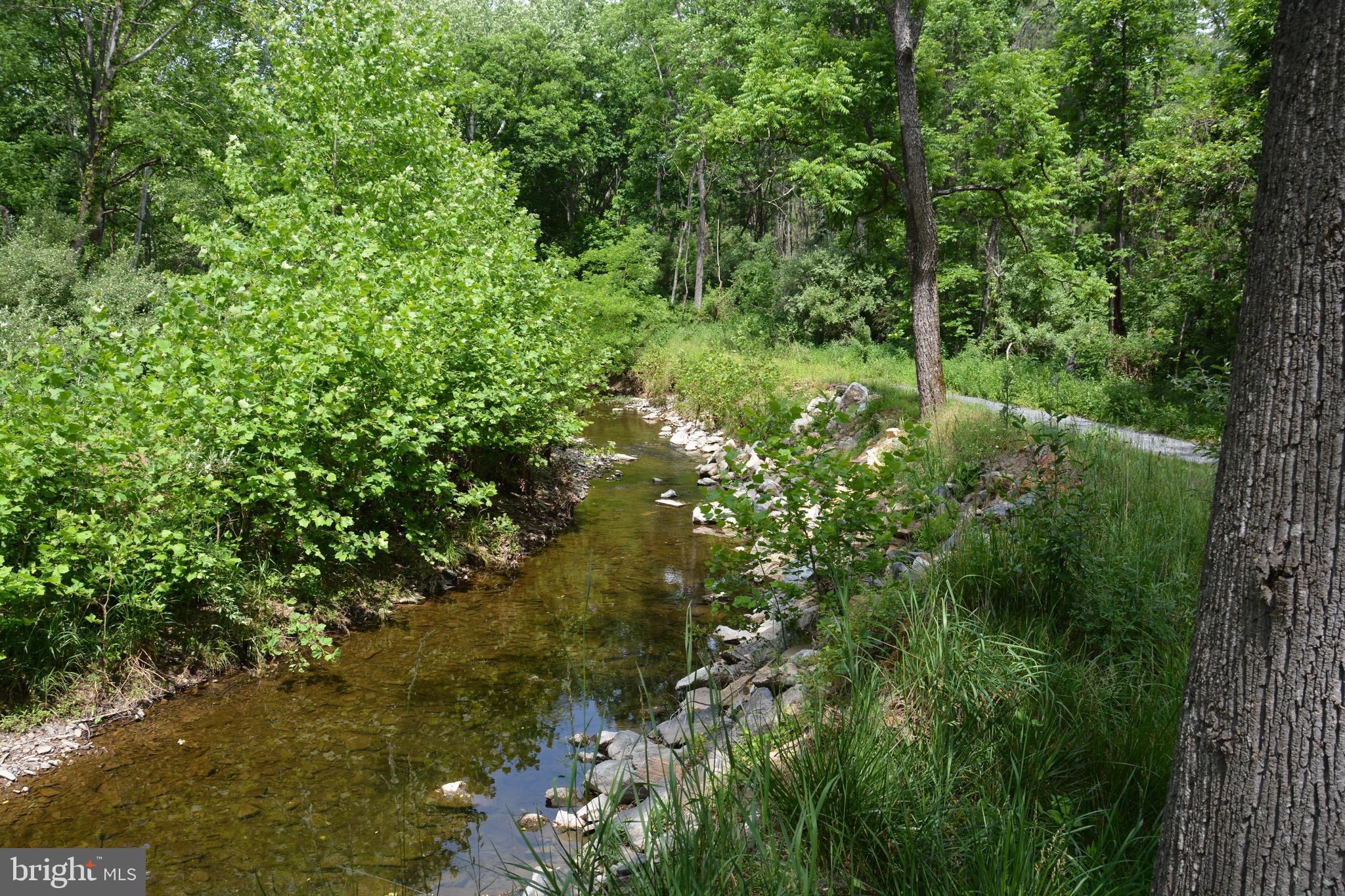 RHINE FOREST ESTATES - Land