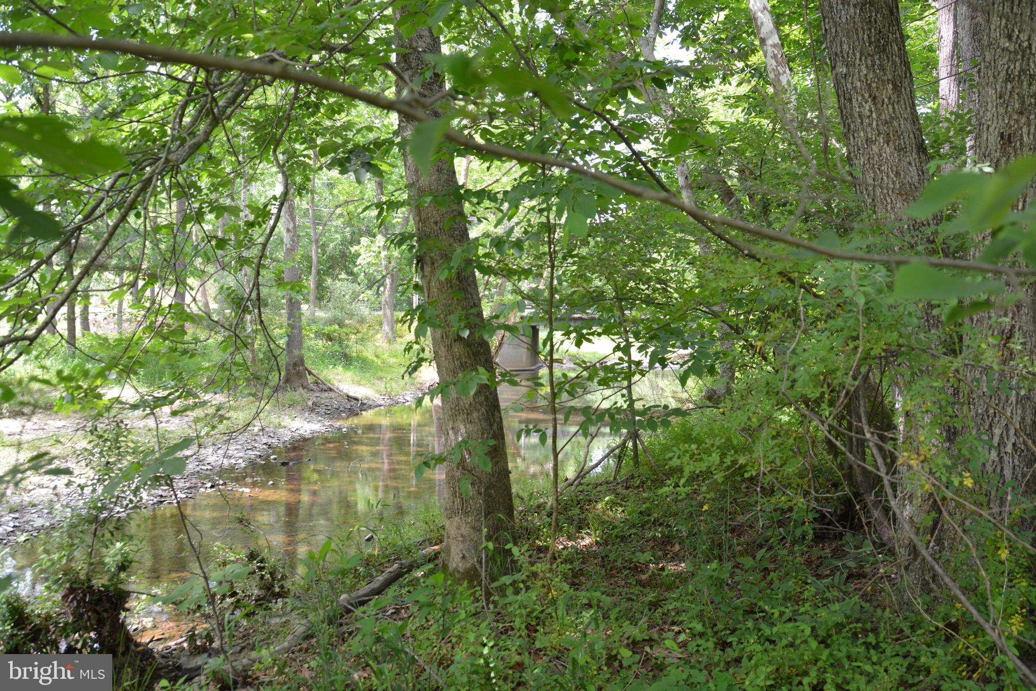 RHINE FOREST ESTATES - Land