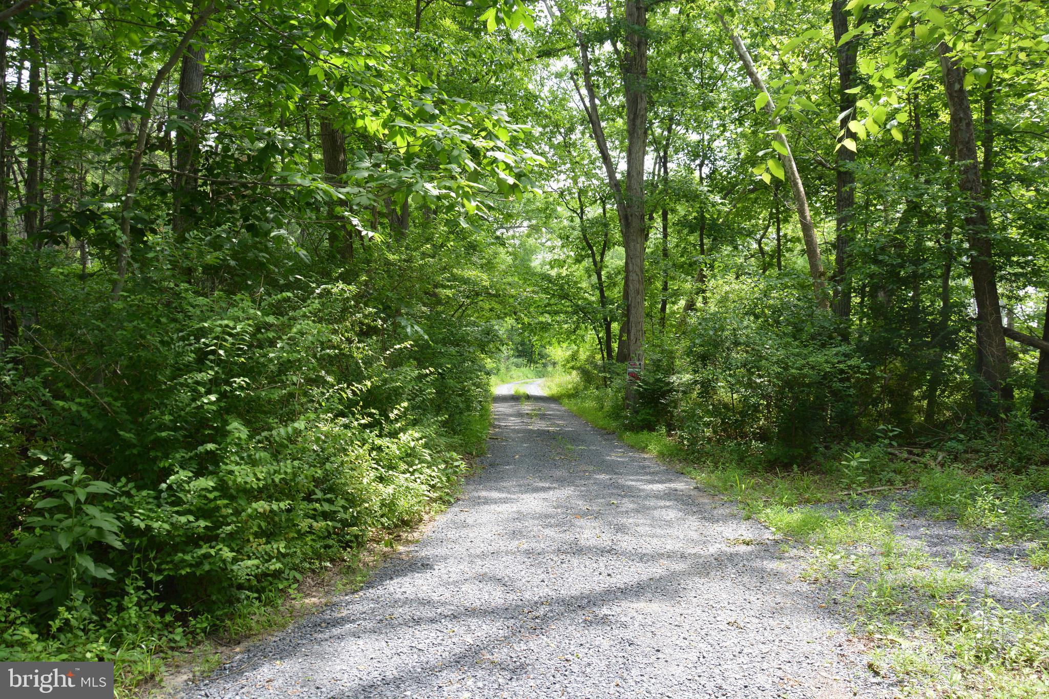 RHINE FOREST ESTATES - Land