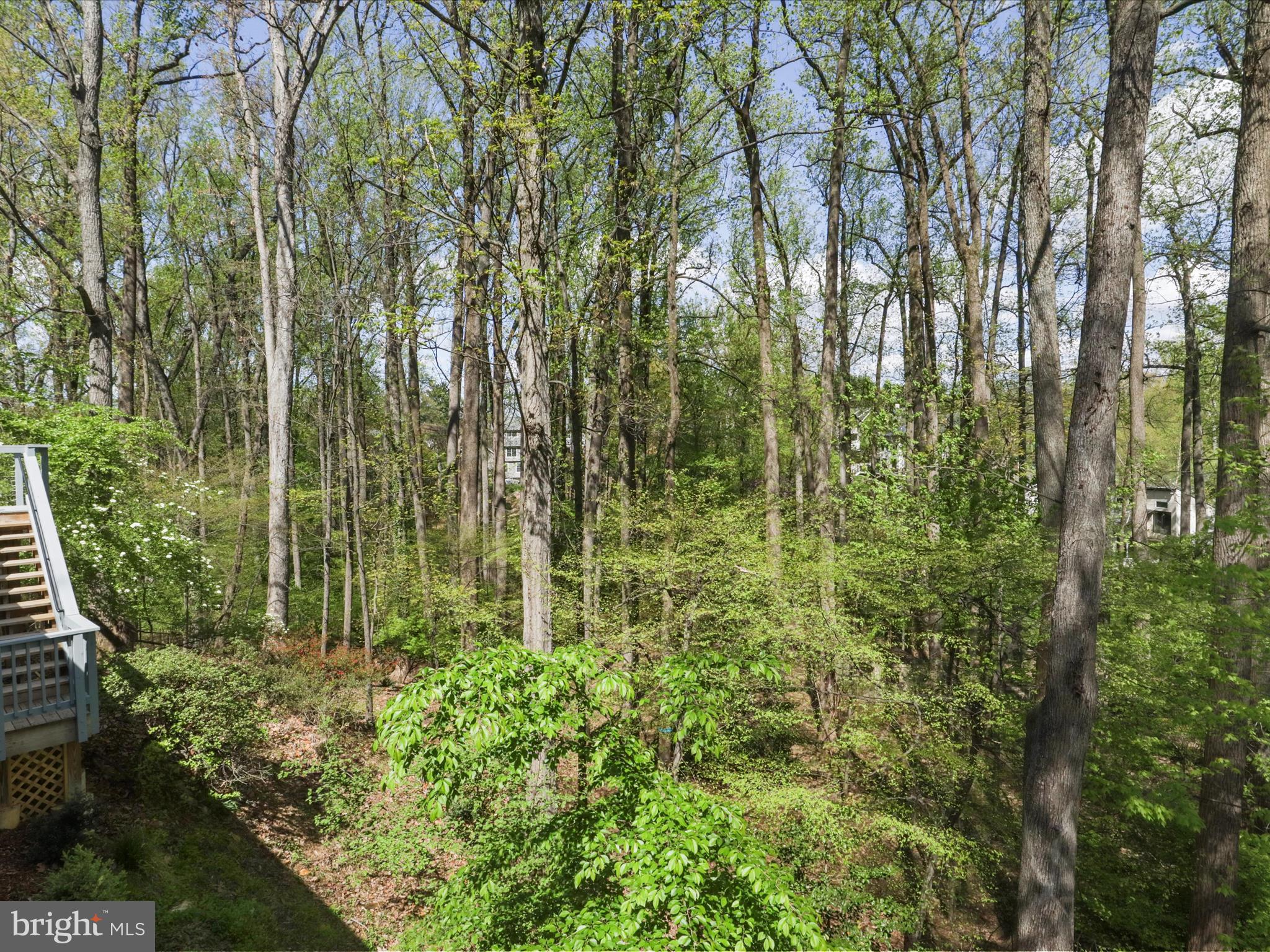FRANKLIN FOREST - Residential