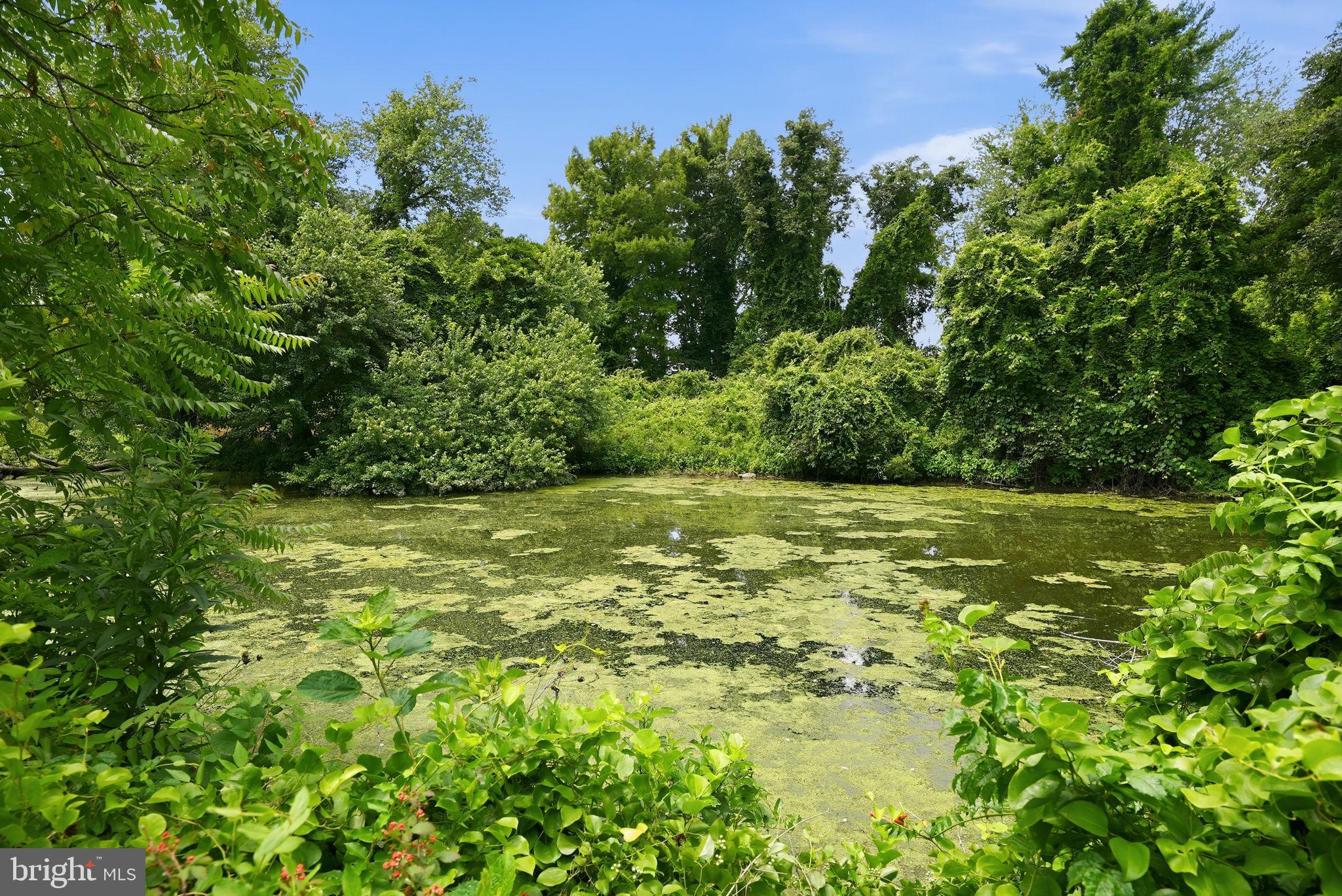RIVER WATCH - Residential