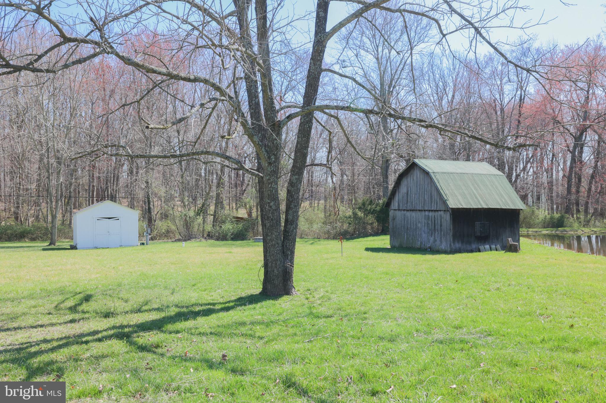 LEVY - Residential Lease