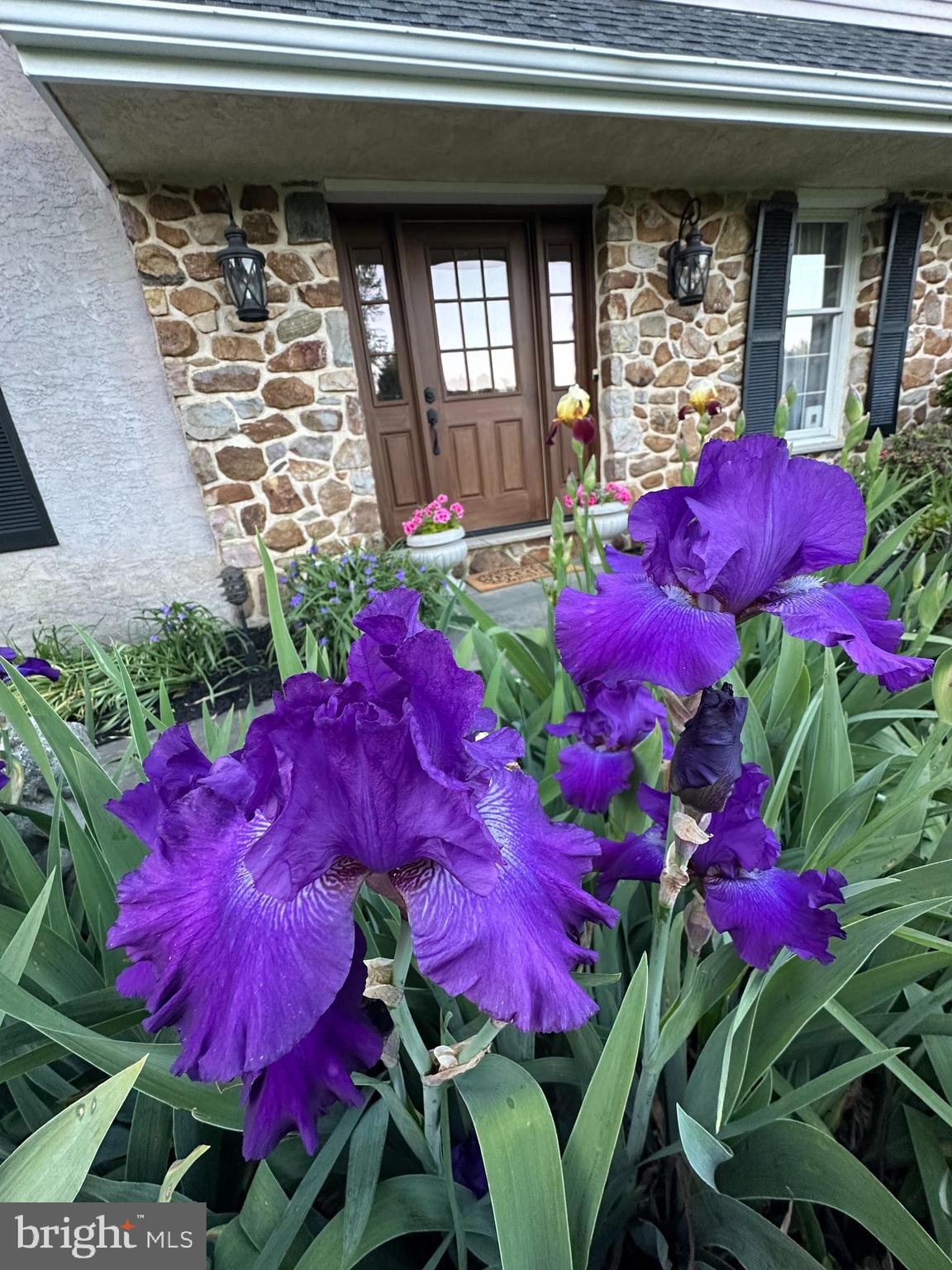 WILTSHIRE - Residential