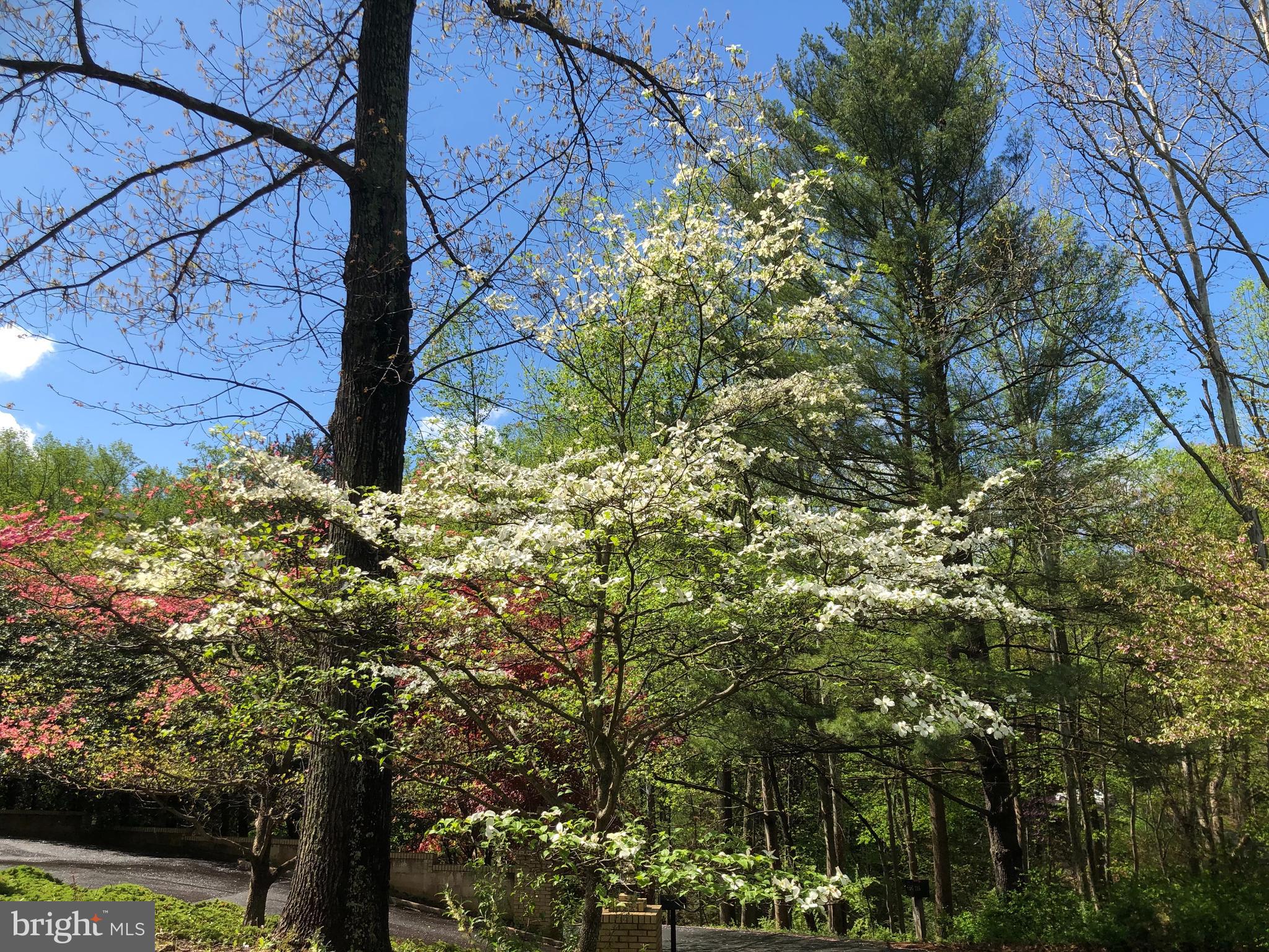 POTOMAC OVERLOOK - Residential