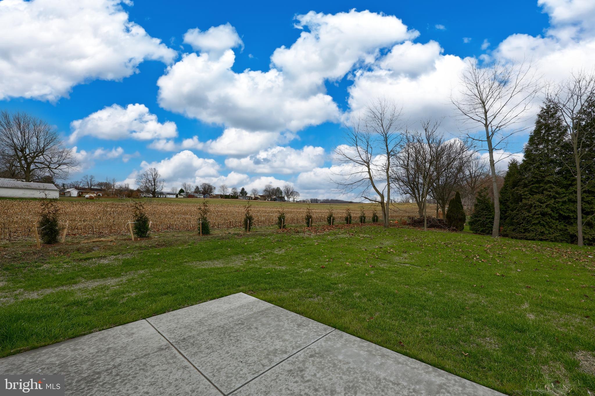 SPRINGFIELD TWP - Residential