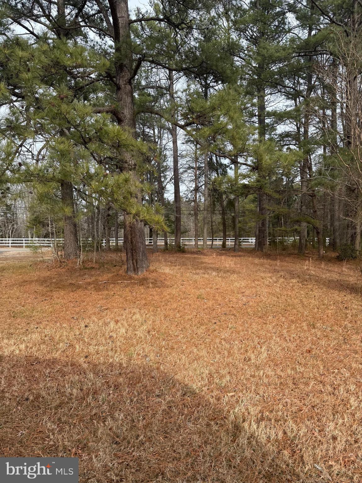 Discover the opportunity to own a parcel of land in a well-established area of Brandywine, Maryland. Located at 4711 Danville Road, this property offers a versatile setting suitable for a variety of permitted uses, subject to county zoning and approval. The lot provides convenient access to major commuter routes, local shopping, dining, and everyday services, making it a practical location for future development or long-term investment.

The property’s setting allows for flexibility in planning while offering proximity to both suburban conveniences and surrounding open spaces. Buyers are encouraged to conduct their own due diligence regarding zoning, utility availability, environmental considerations, and any applicable building or use requirements.

This land presents a valuable opportunity for those seeking to build or invest in a growing area of Prince George’s County. Buyer to verify all details to their satisfaction.
