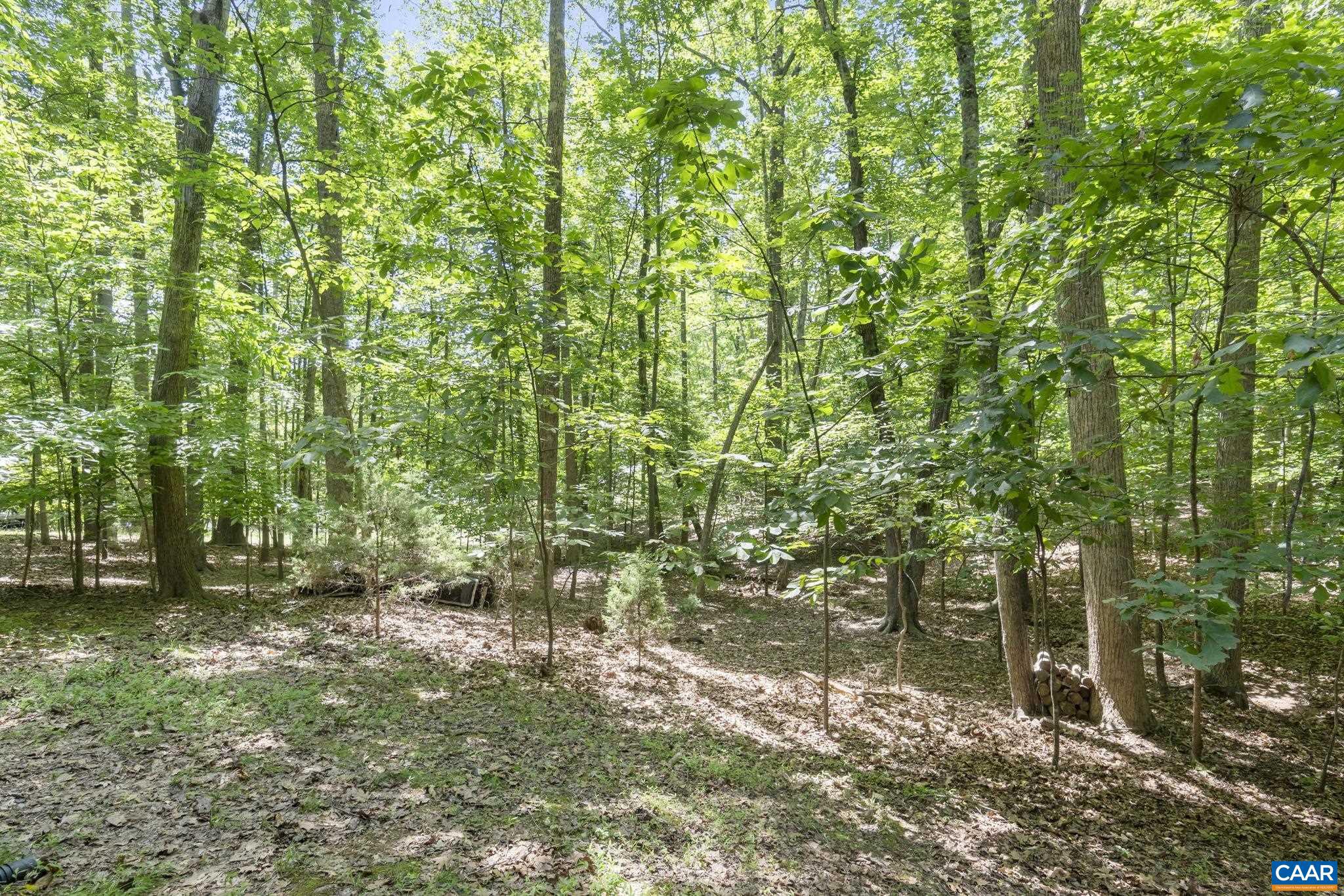 LAKE MONTICELLO - Residential
