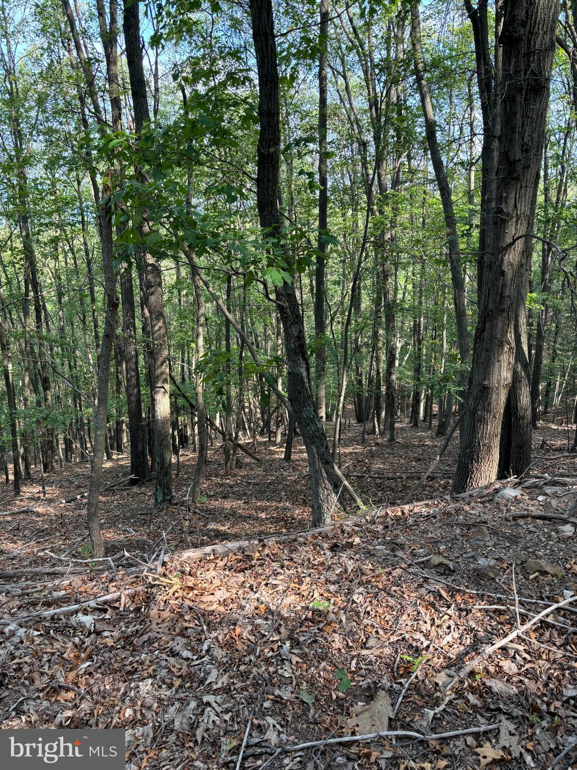 VALLEY HIGH TIMBER FARMS - Land