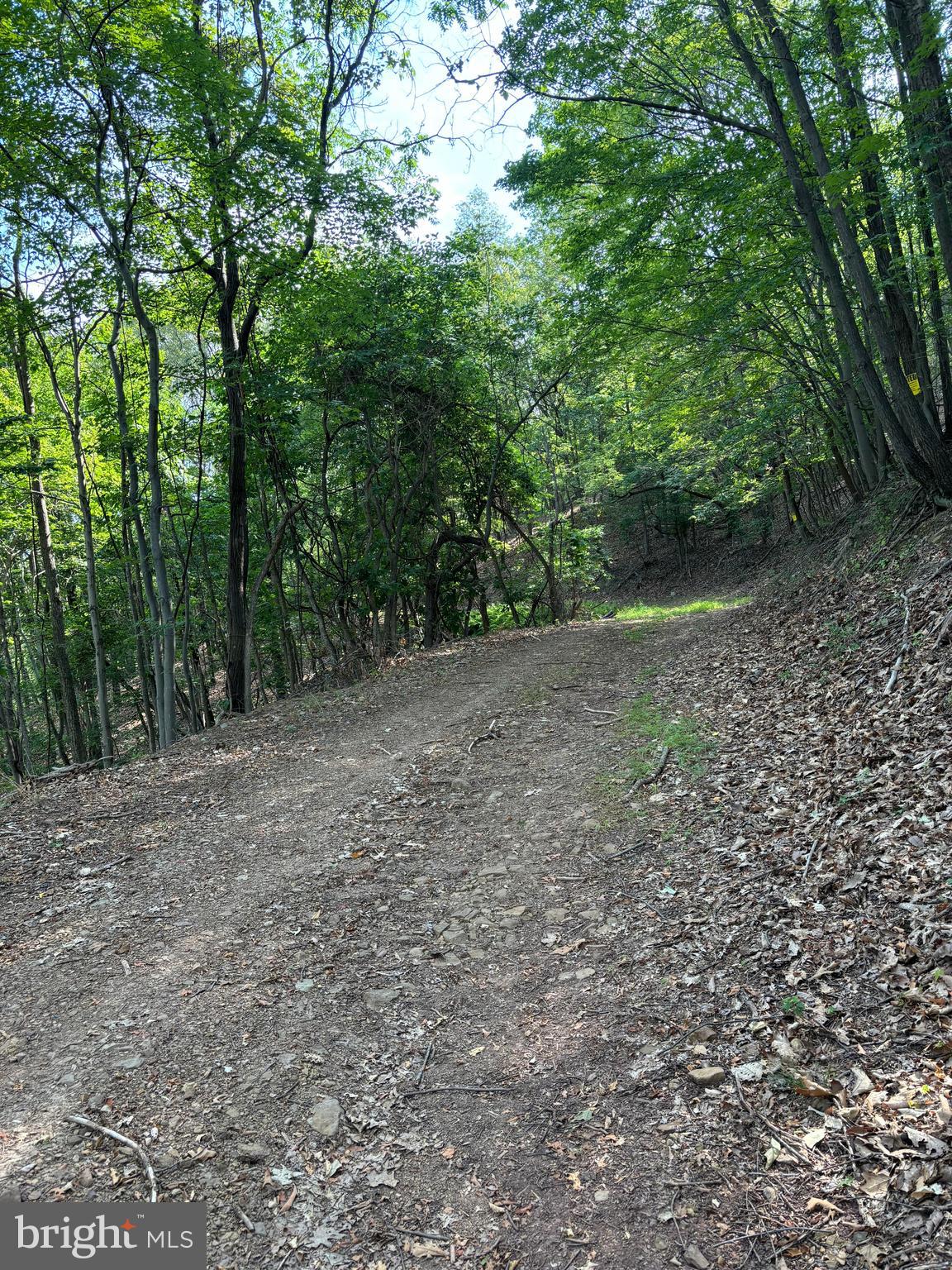 VALLEY HIGH TIMBER FARMS - Land