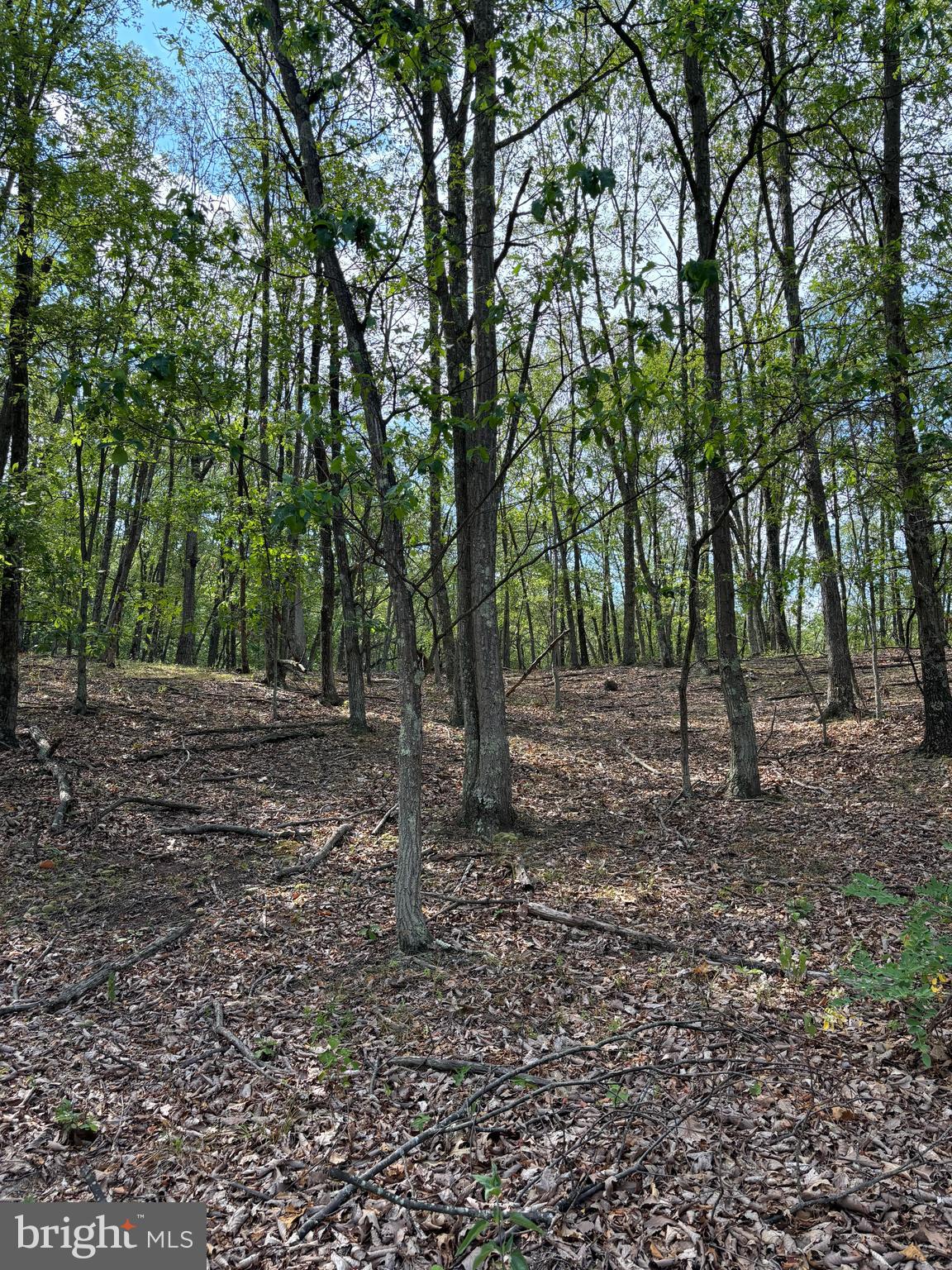 VALLEY HIGH TIMBER FARMS - Land
