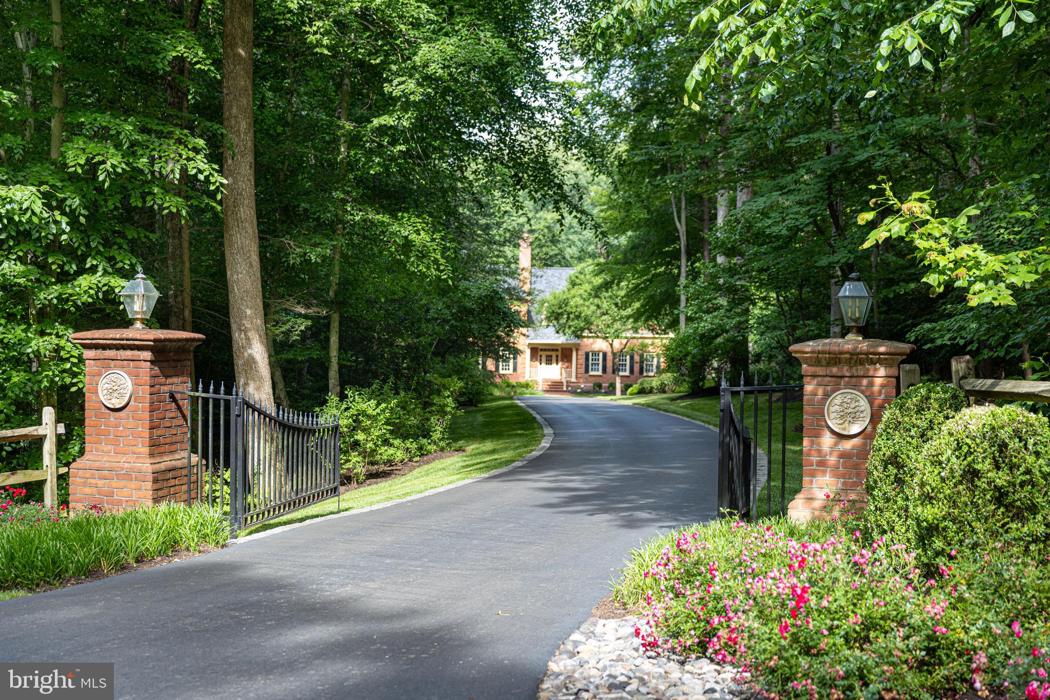 CATHEDRAL FOREST - Residential