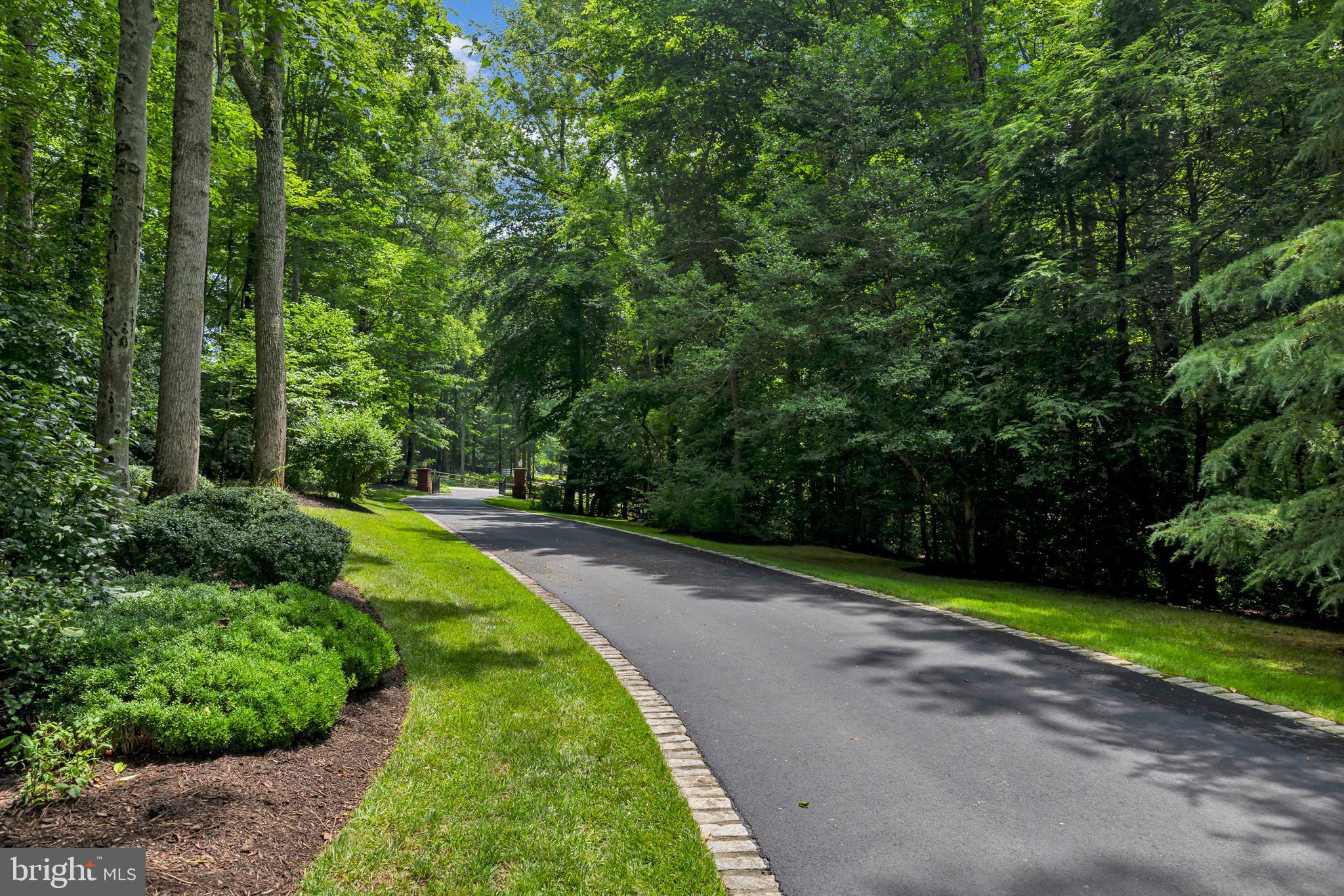 CATHEDRAL FOREST - Residential