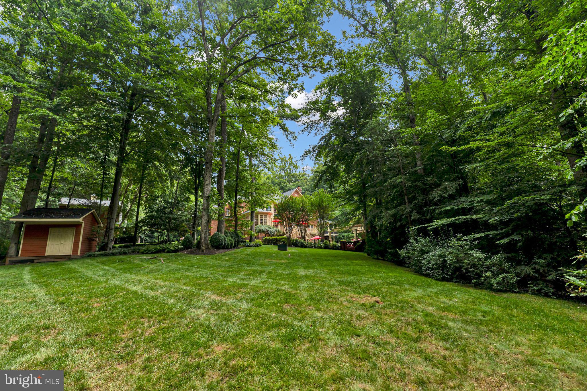 CATHEDRAL FOREST - Residential