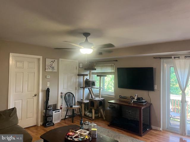 PALADIN CLUB - Residential