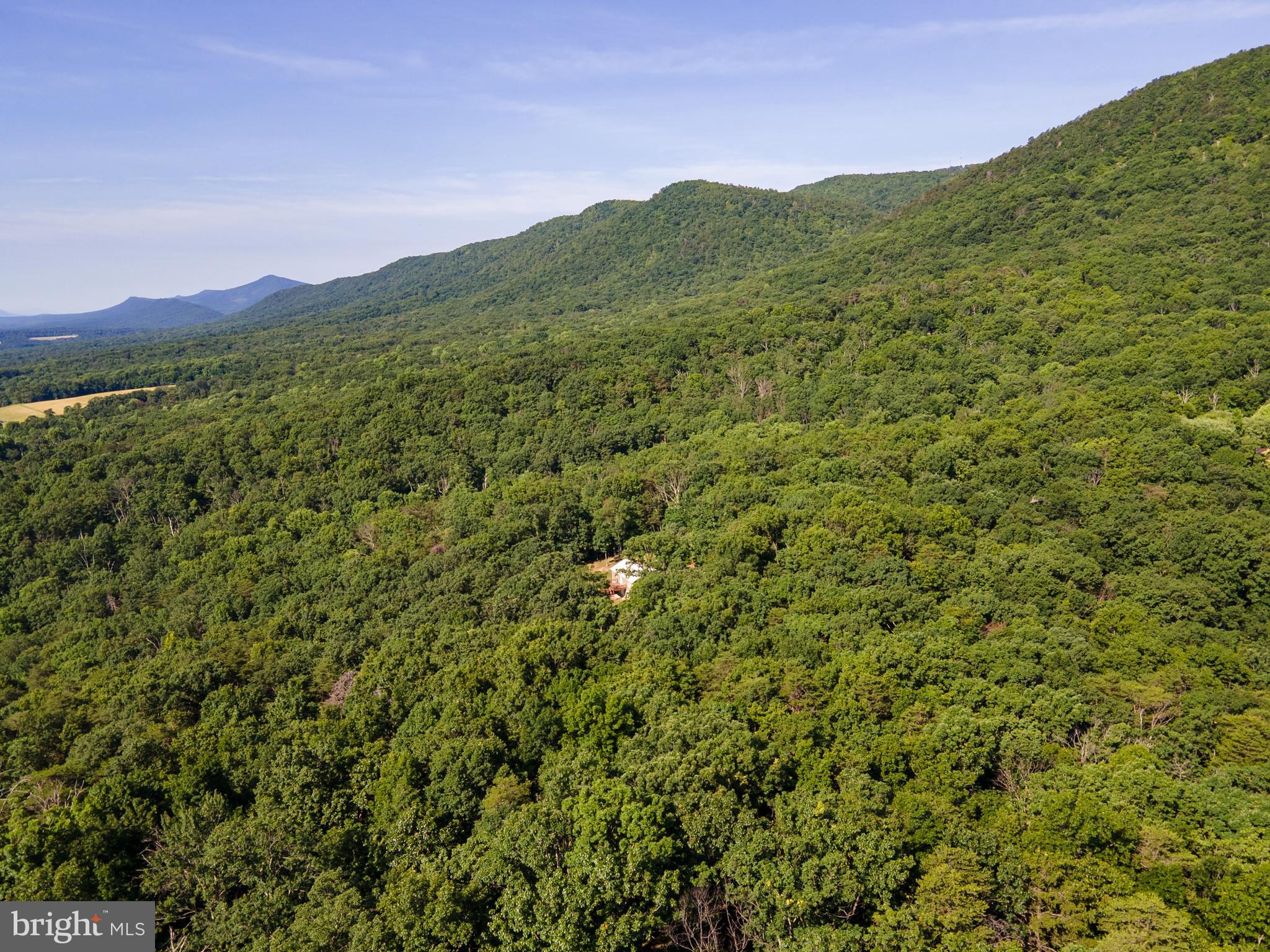BATTLE CREEK FOREST - Land