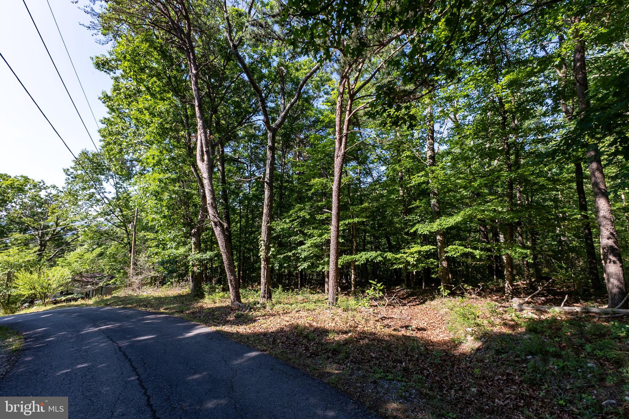 BATTLE CREEK FOREST - Land