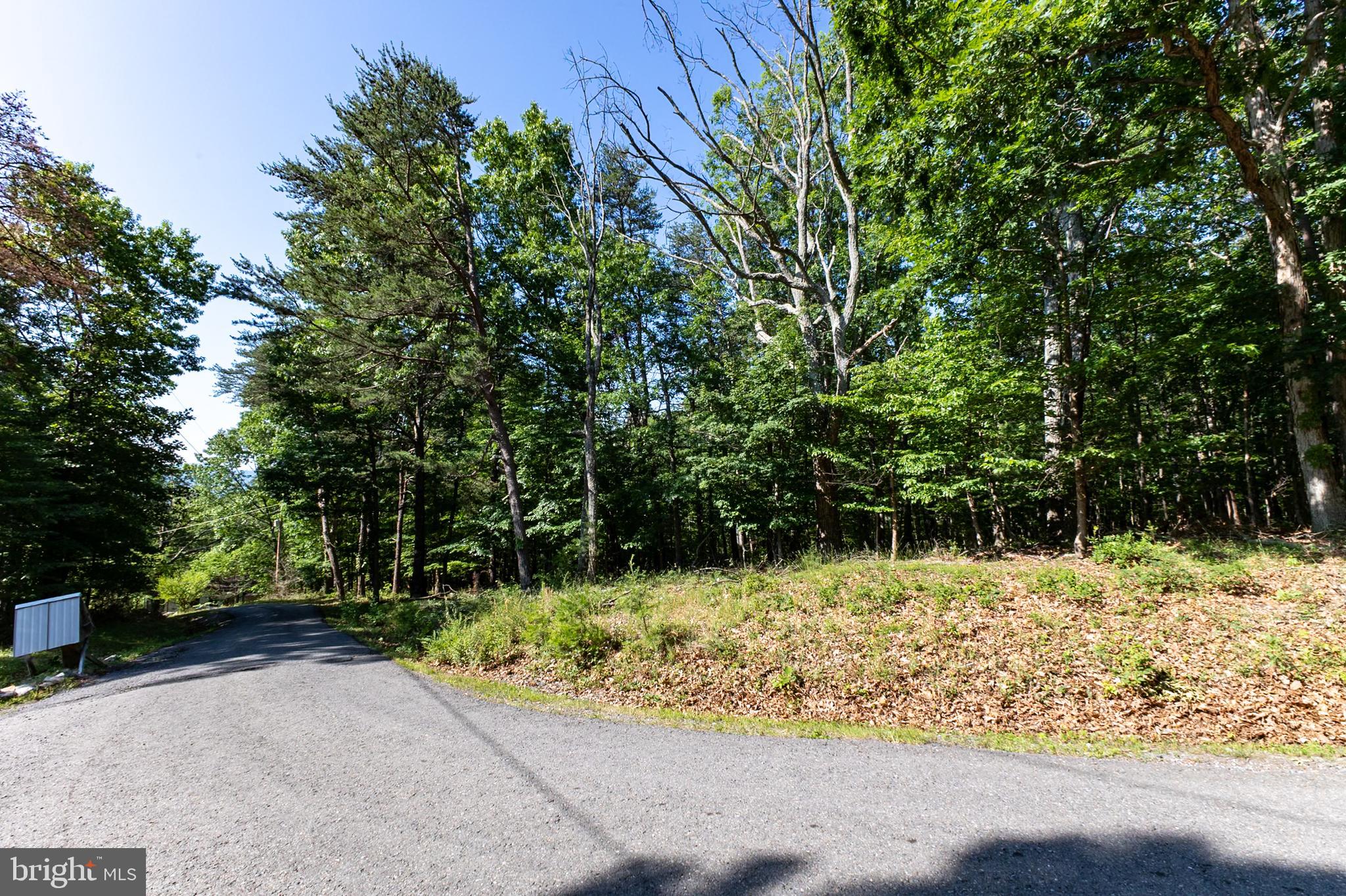 BATTLE CREEK FOREST - Land