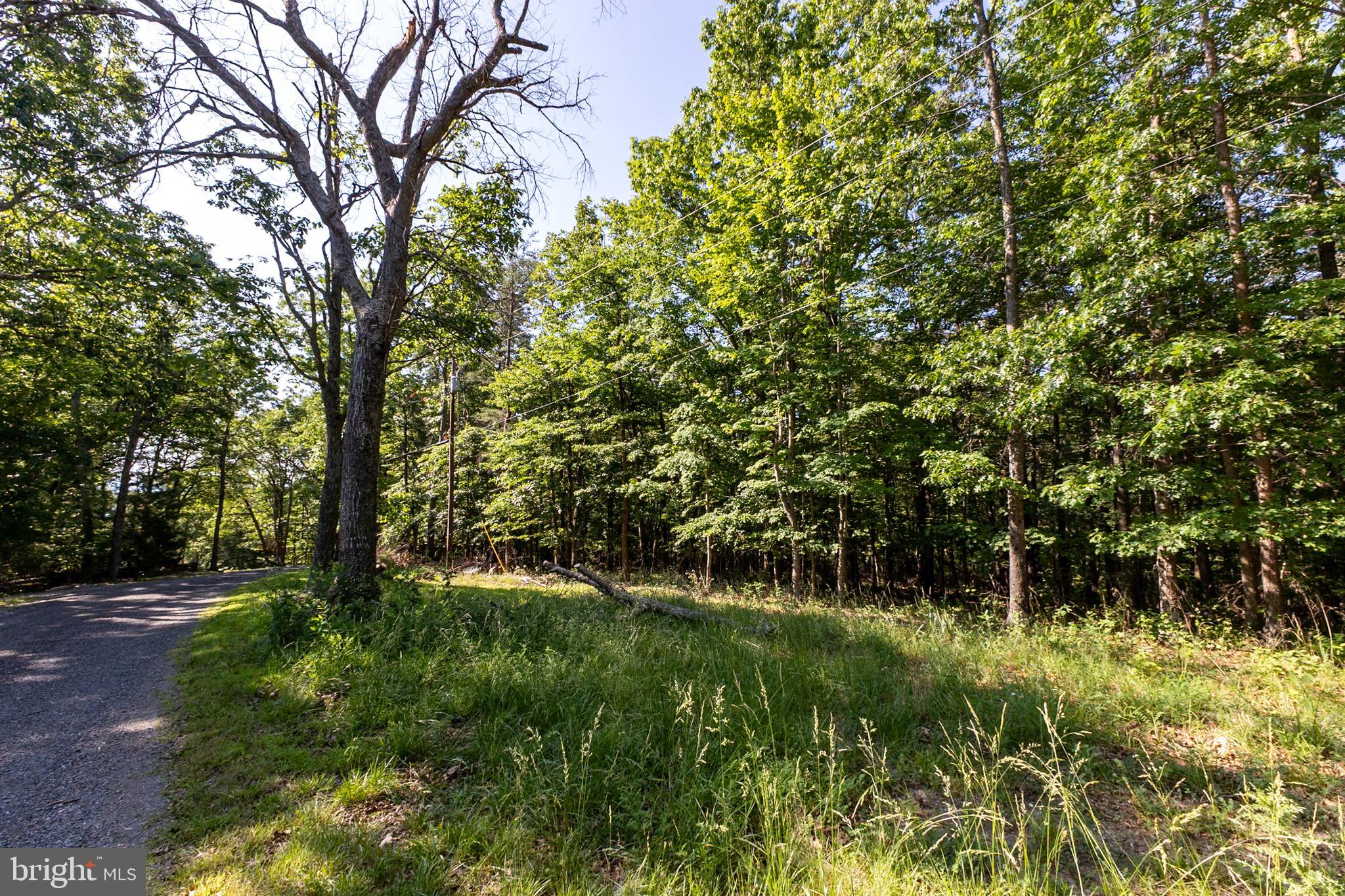 BATTLE CREEK FOREST - Land