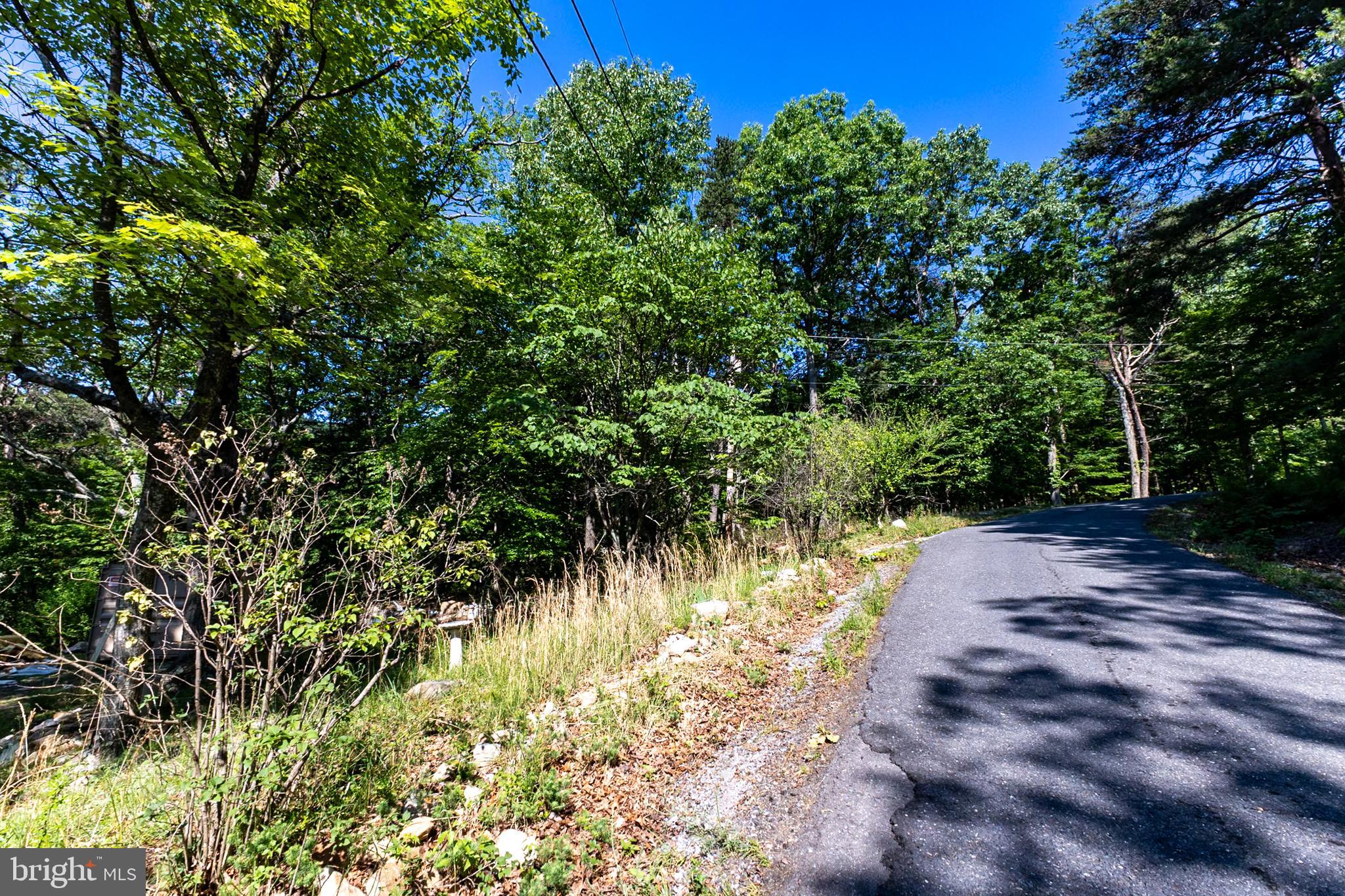 BATTLE CREEK FOREST - Land