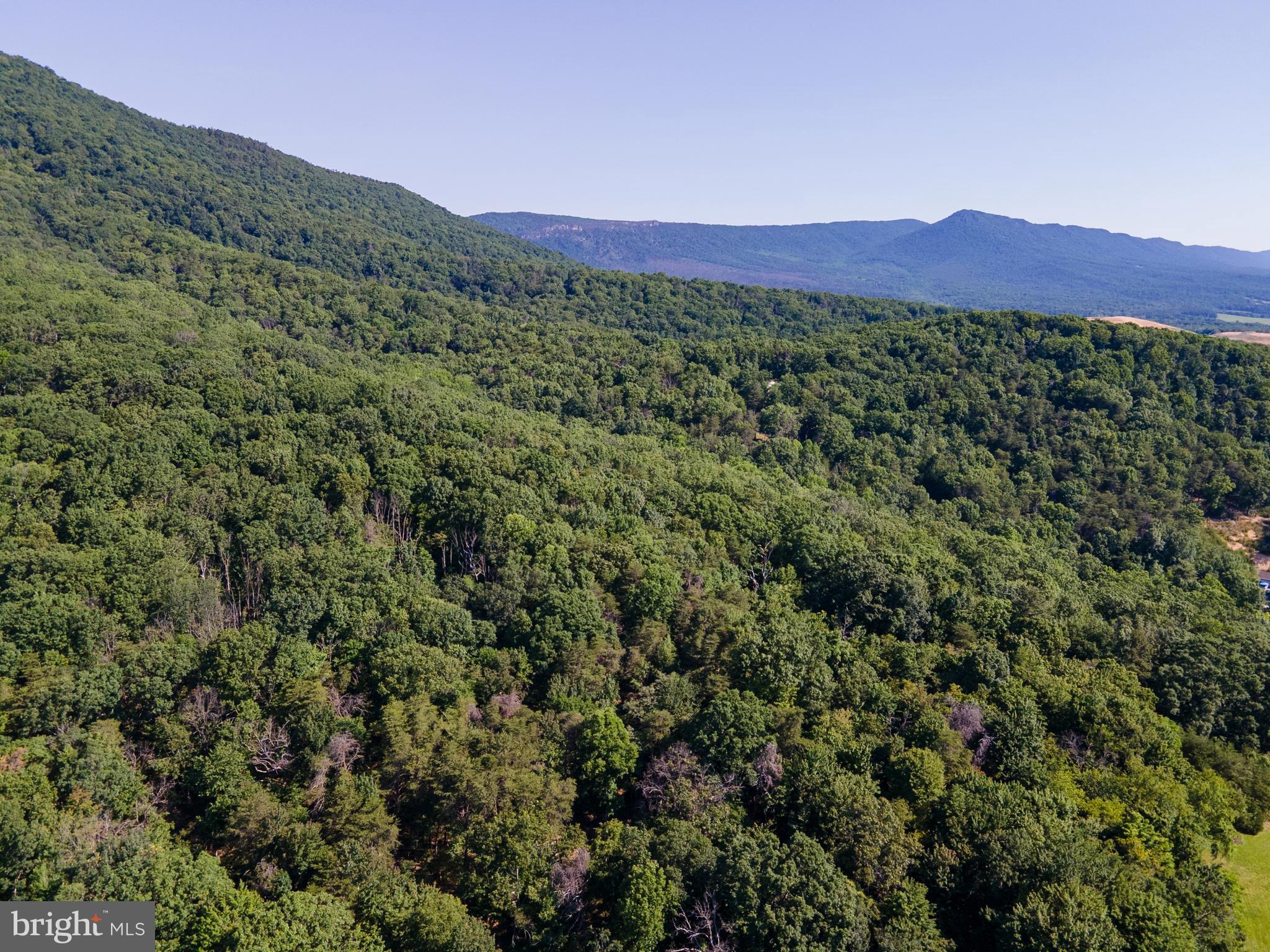 BATTLE CREEK FOREST - Land