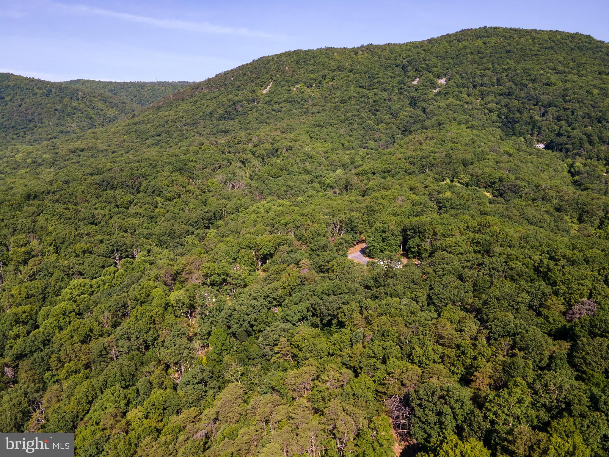 BATTLE CREEK FOREST - Land