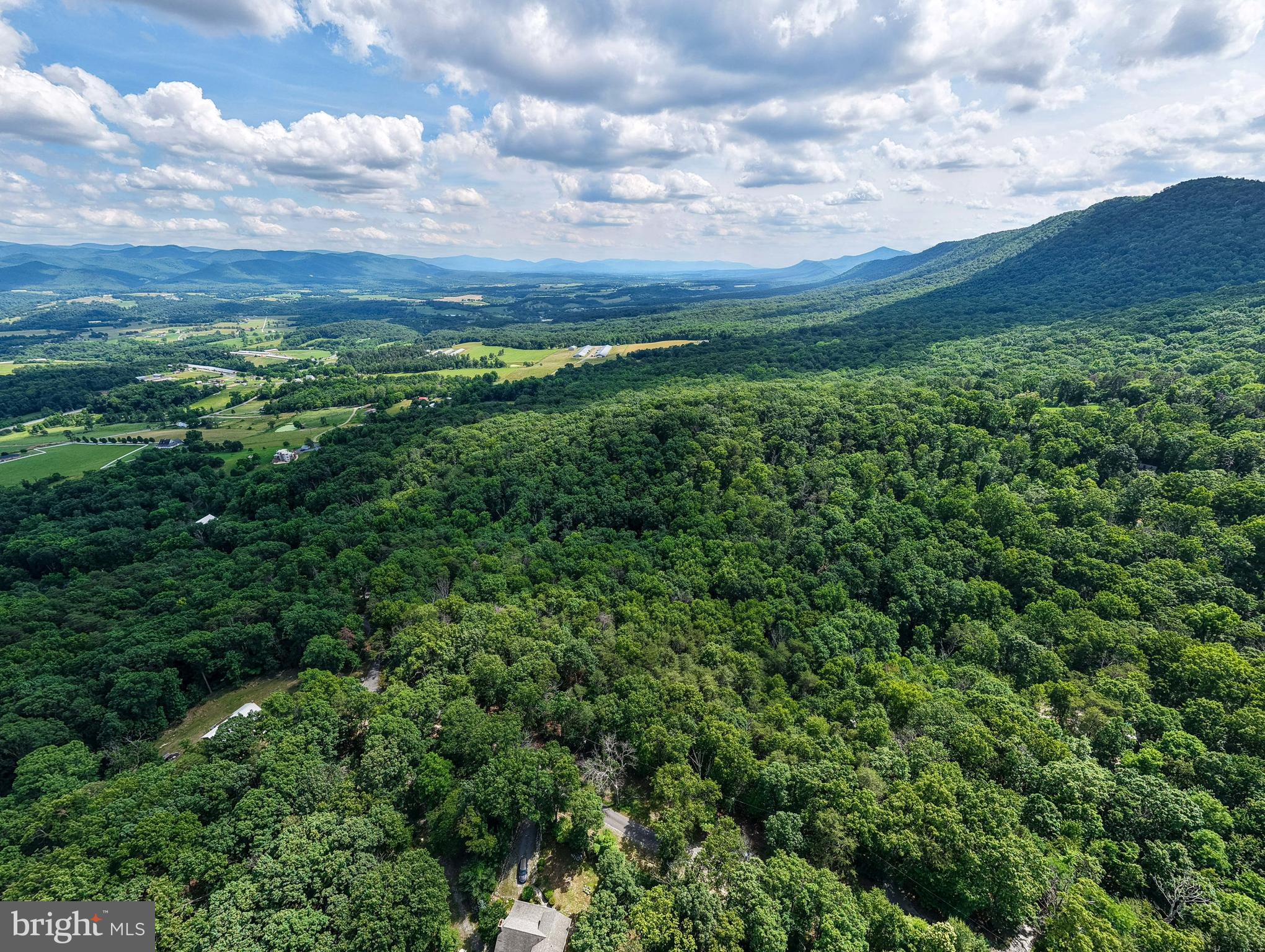 BATTLE CREEK FOREST - Land