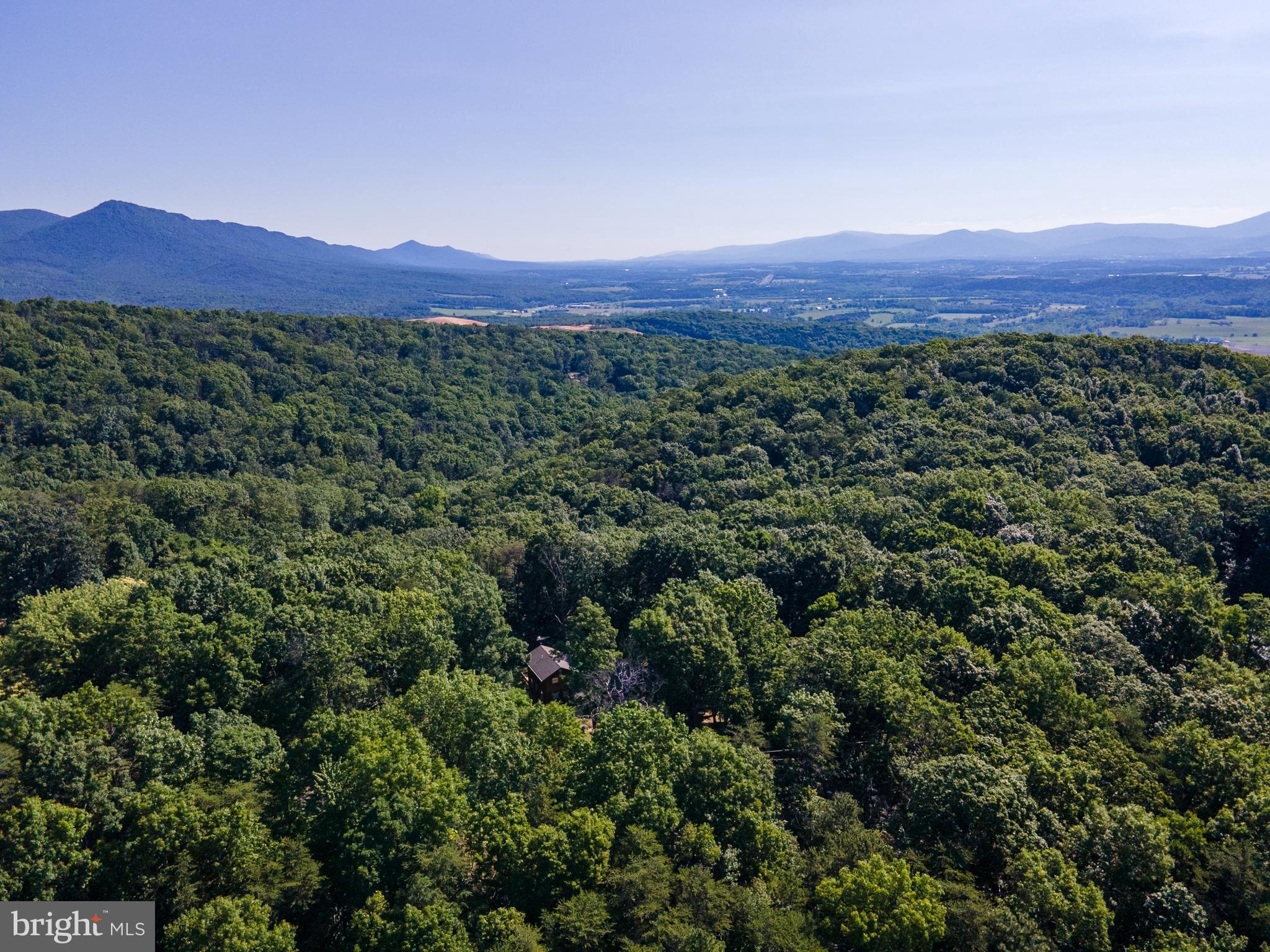 BATTLE CREEK FOREST - Land