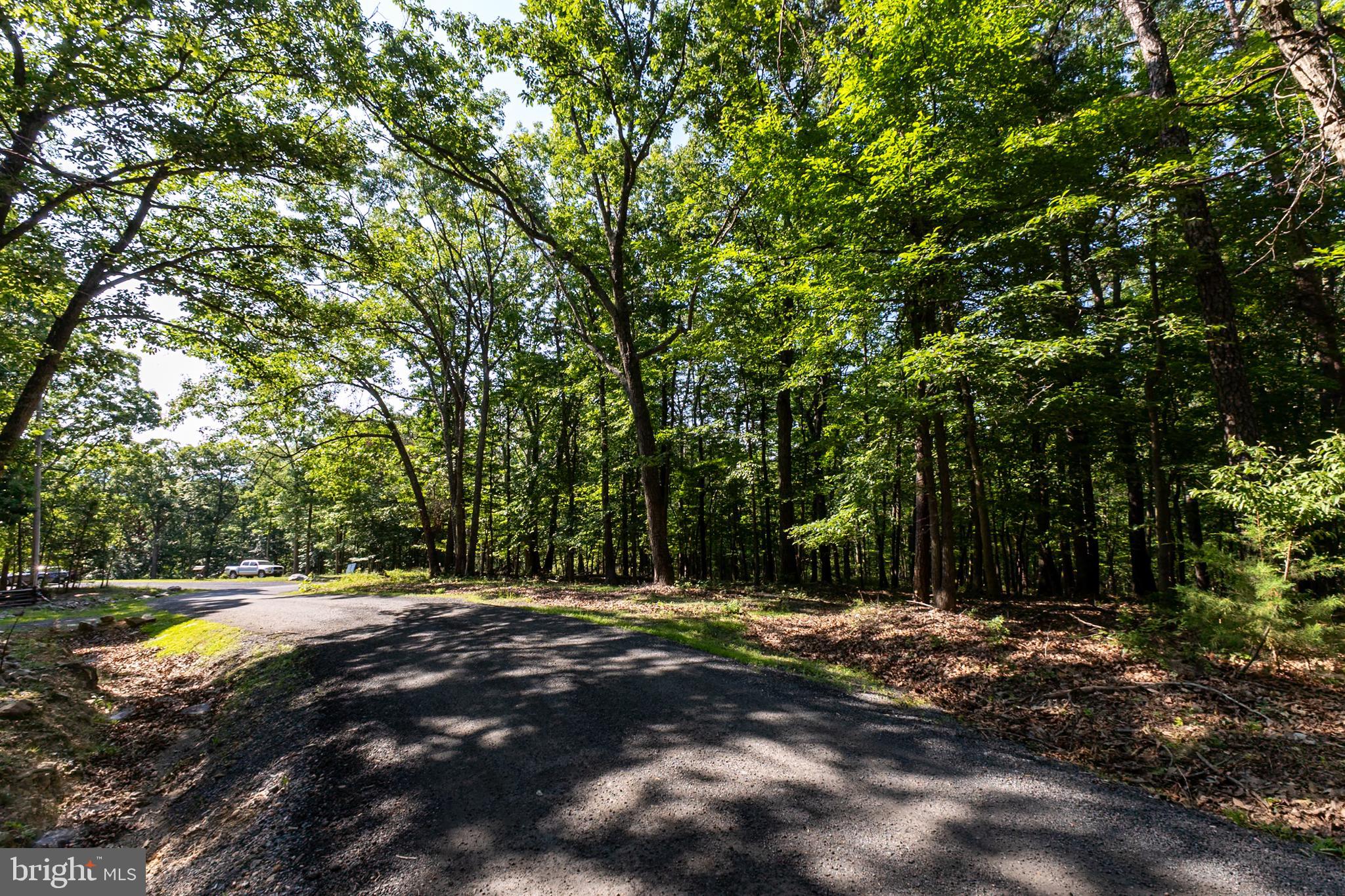 BATTLE CREEK FOREST - Land