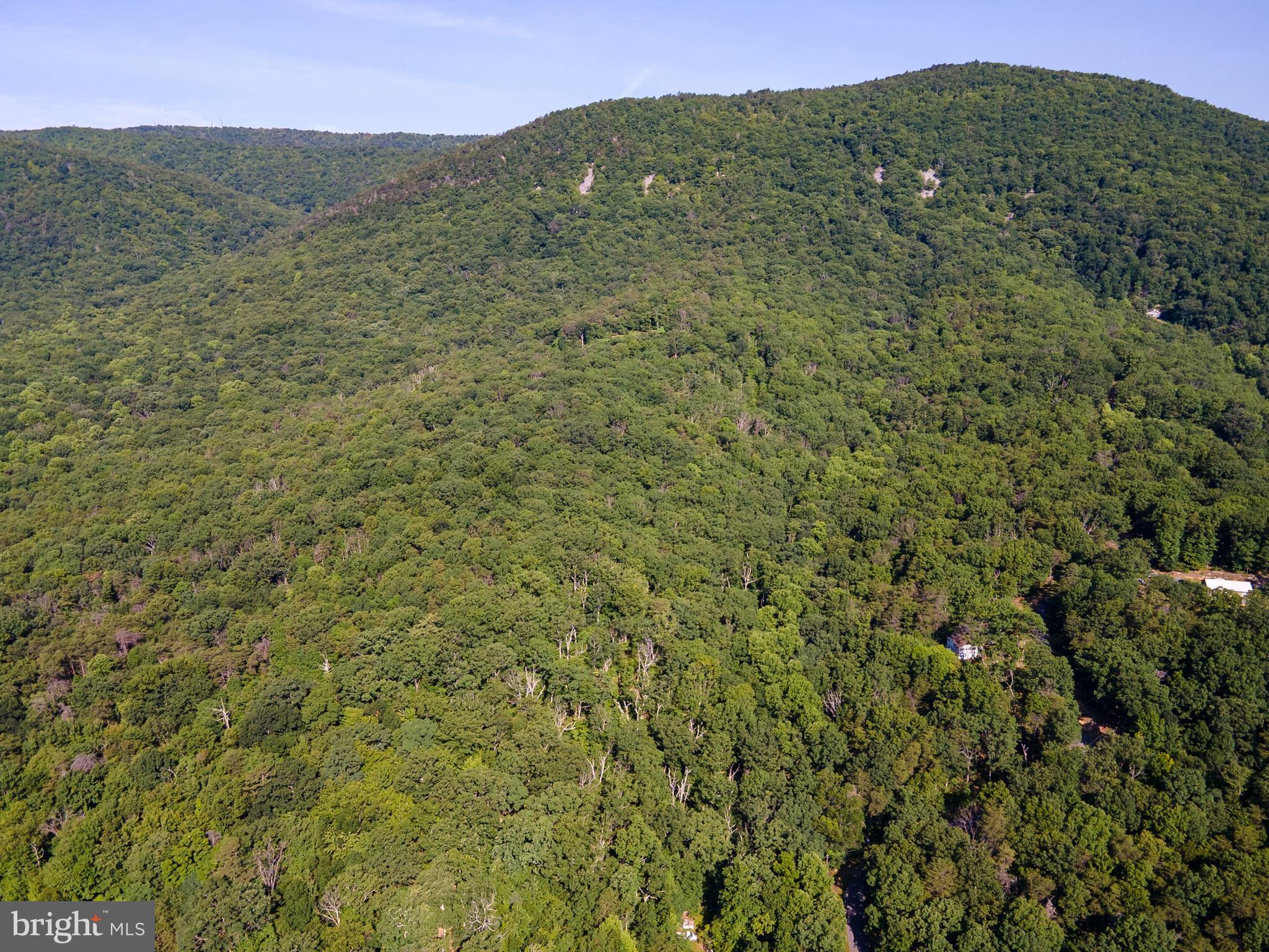 BATTLE CREEK FOREST - Land