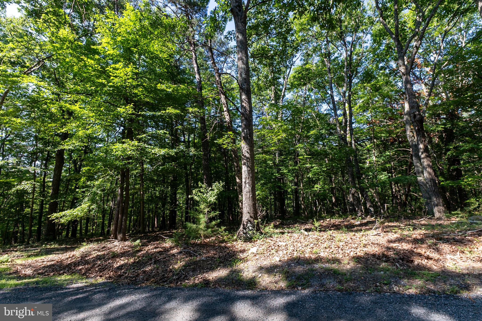 BATTLE CREEK FOREST - Land