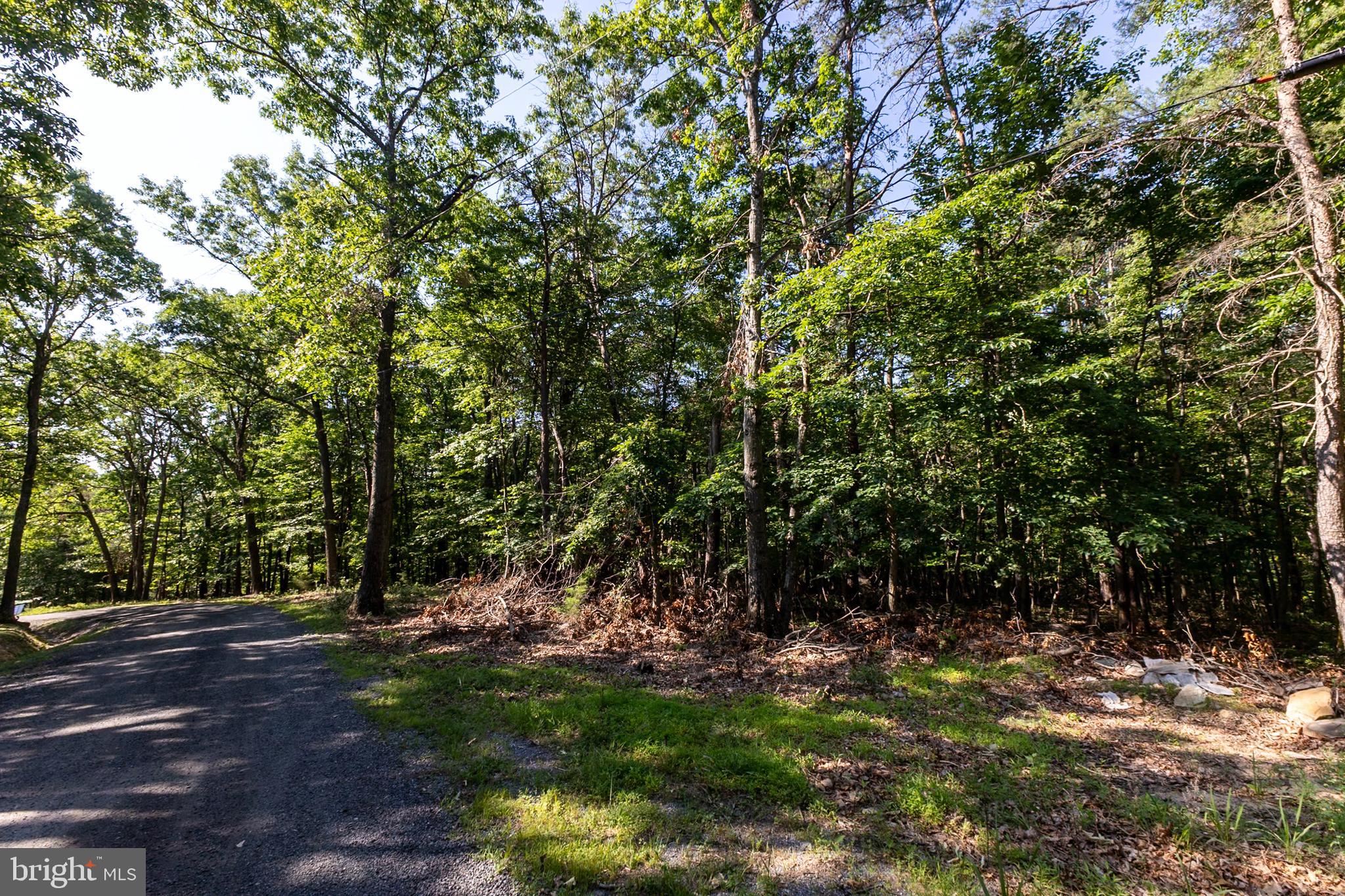 BATTLE CREEK FOREST - Land