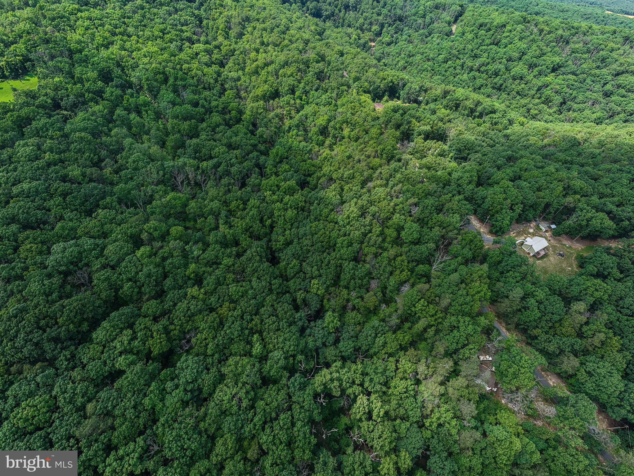 BATTLE CREEK FOREST - Land