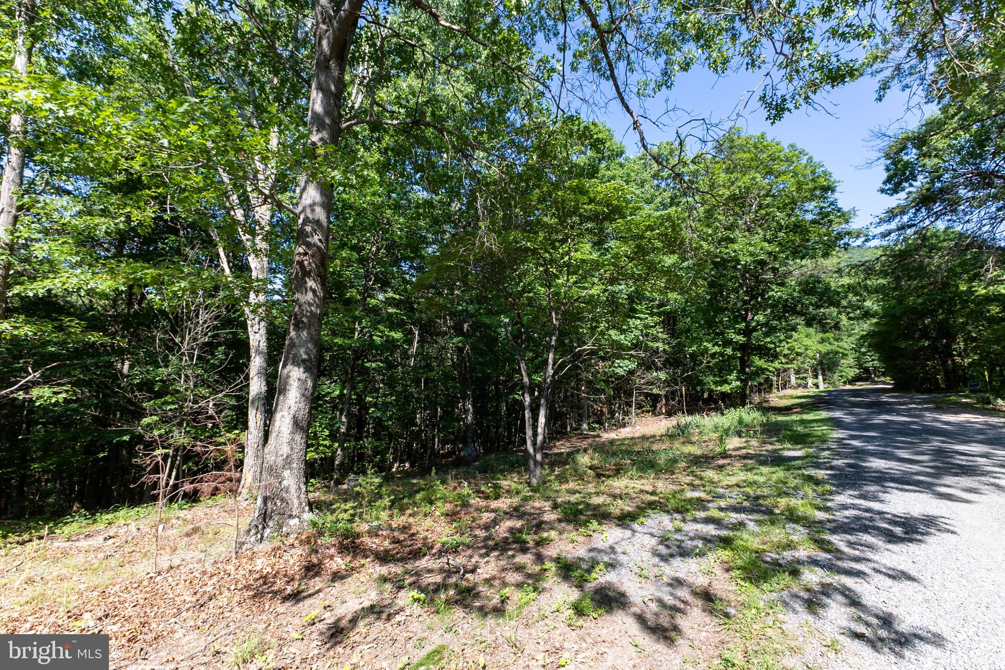 BATTLE CREEK FOREST - Land