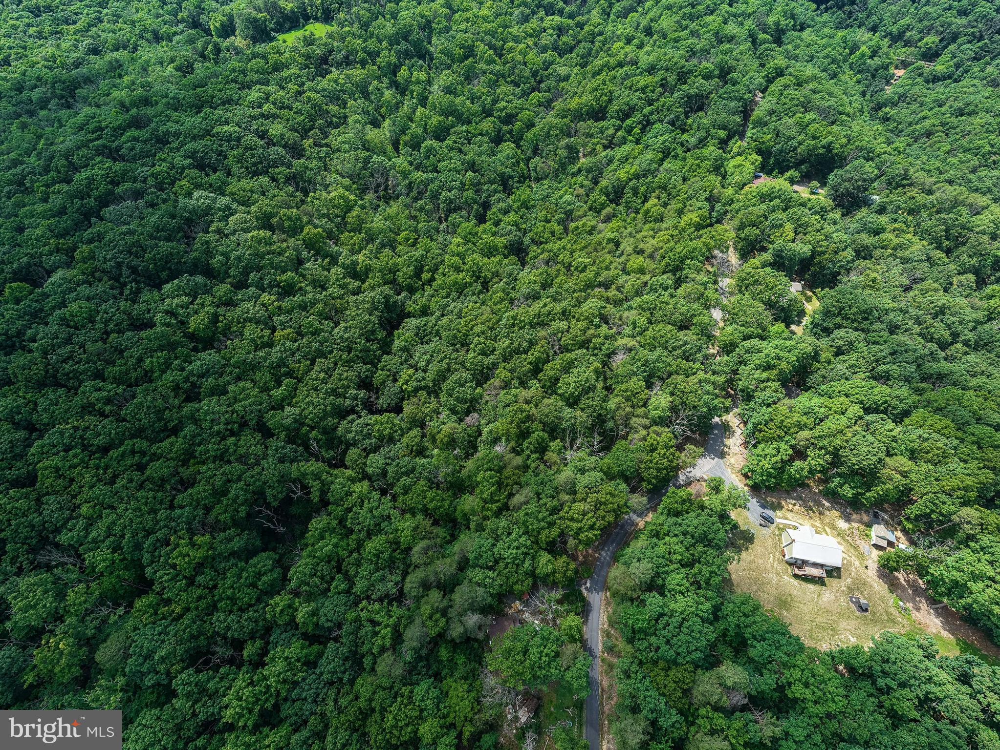 BATTLE CREEK FOREST - Land