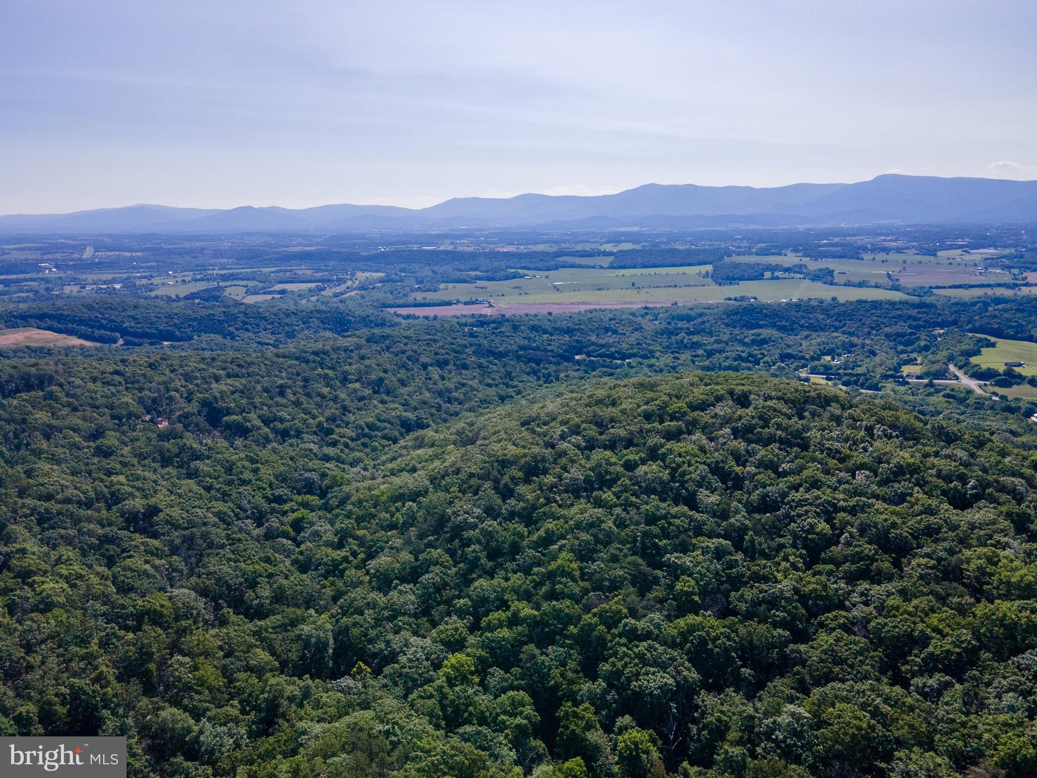 BATTLE CREEK FOREST - Land