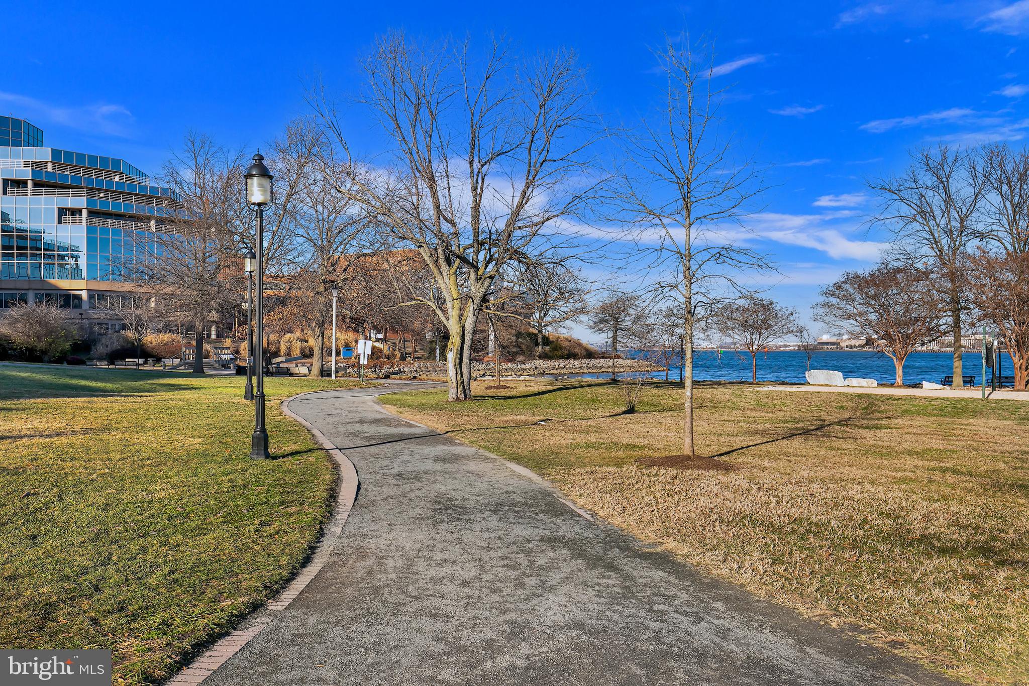 ABINGDON ROW - Residential Lease