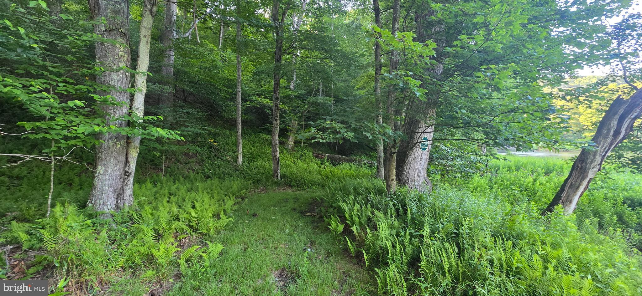 RIVER RUN - Land