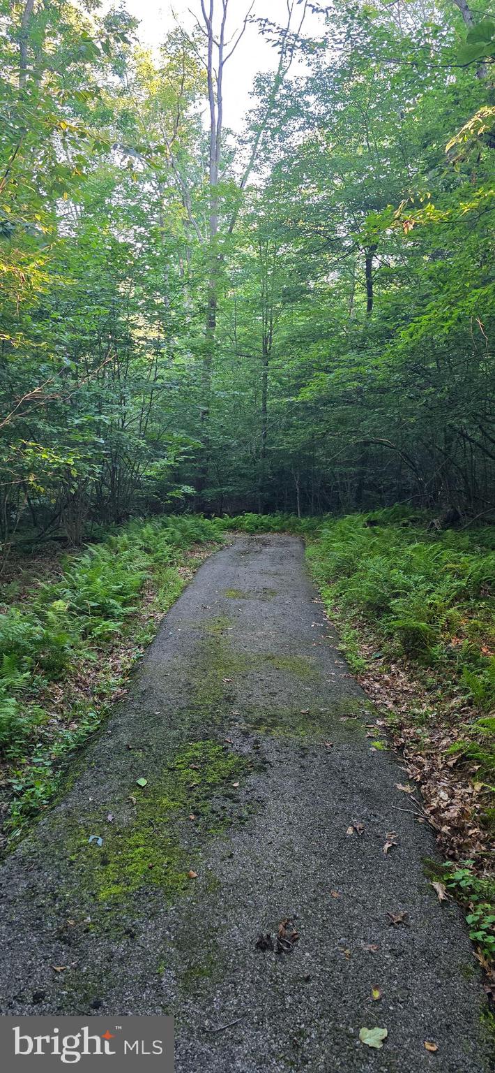 RIVER RUN - Land